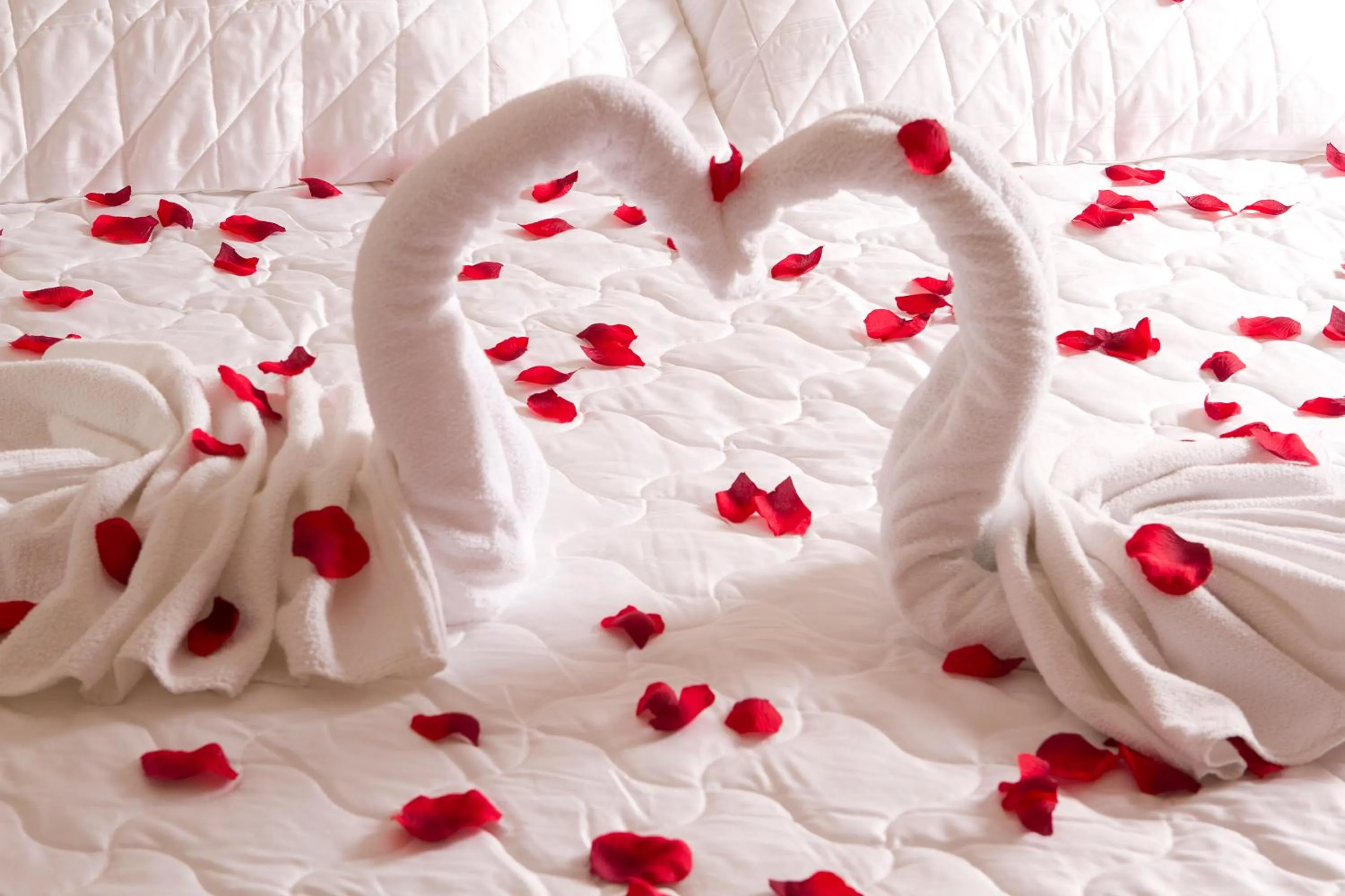 Area and facilities, Bed in Serema Palace Hotel