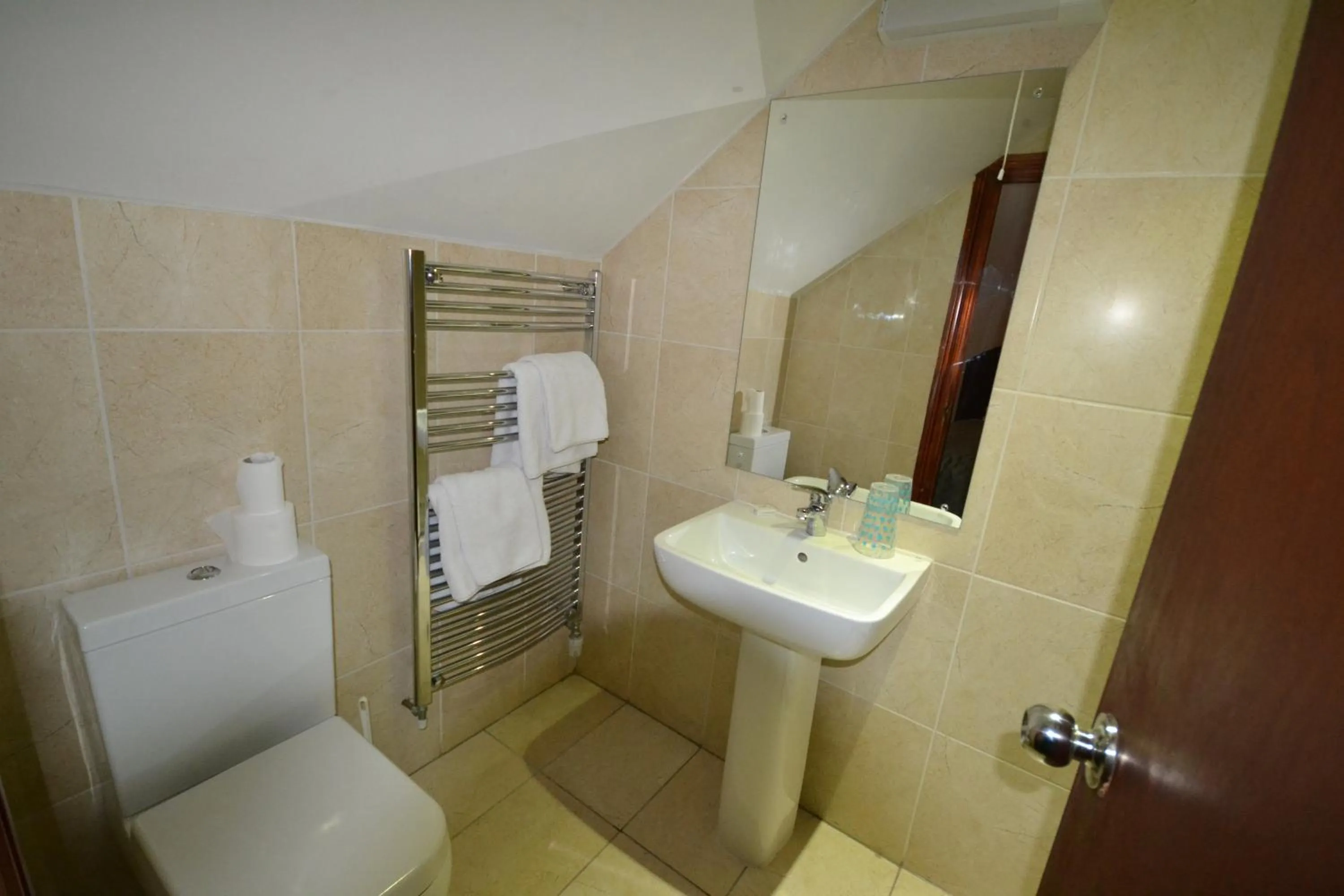 Toilet in Airport Guest House