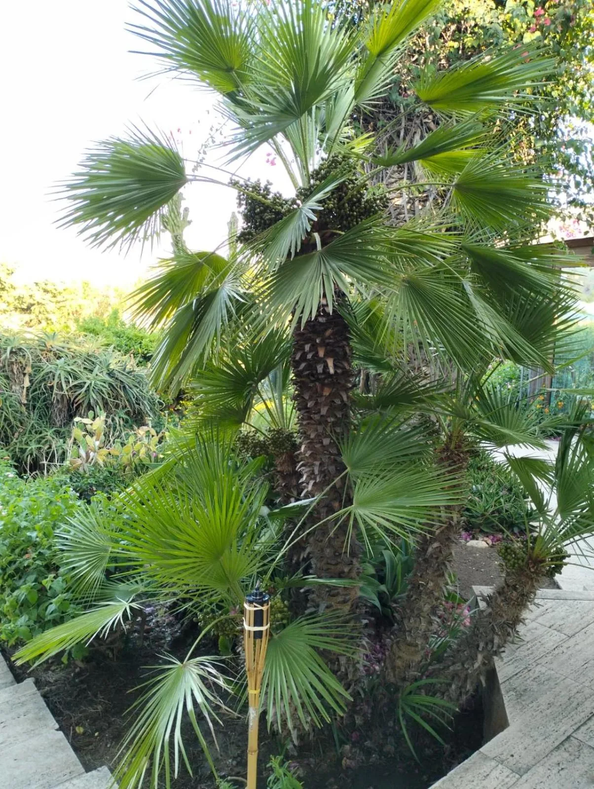 Hotel Foresteria Baglio Della Luna