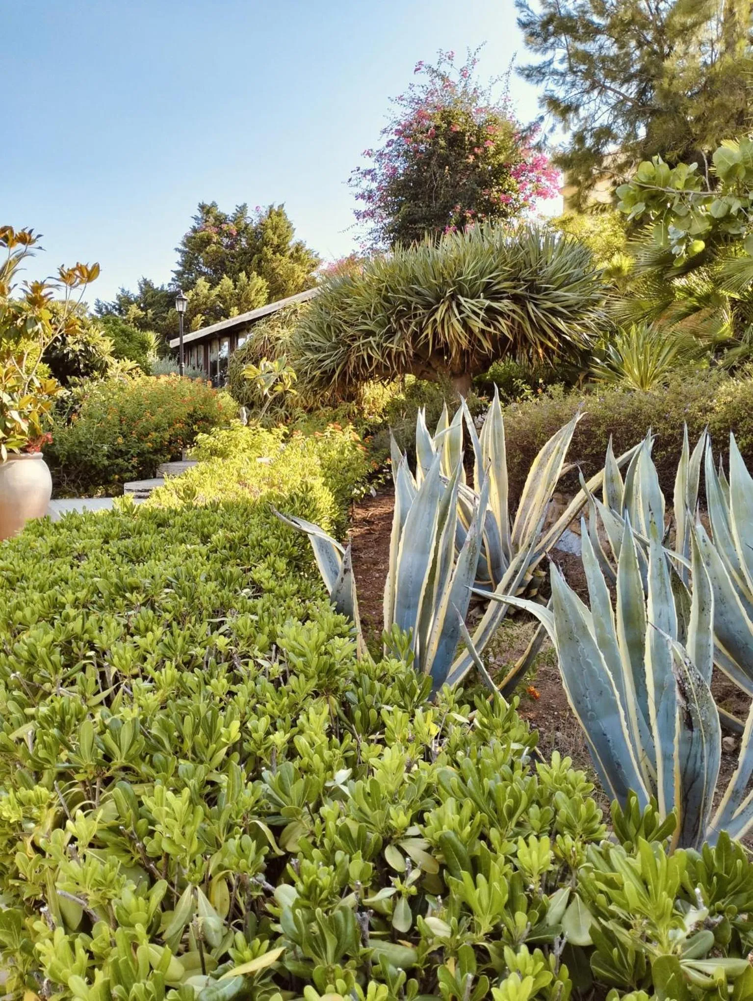 Hotel Foresteria Baglio Della Luna