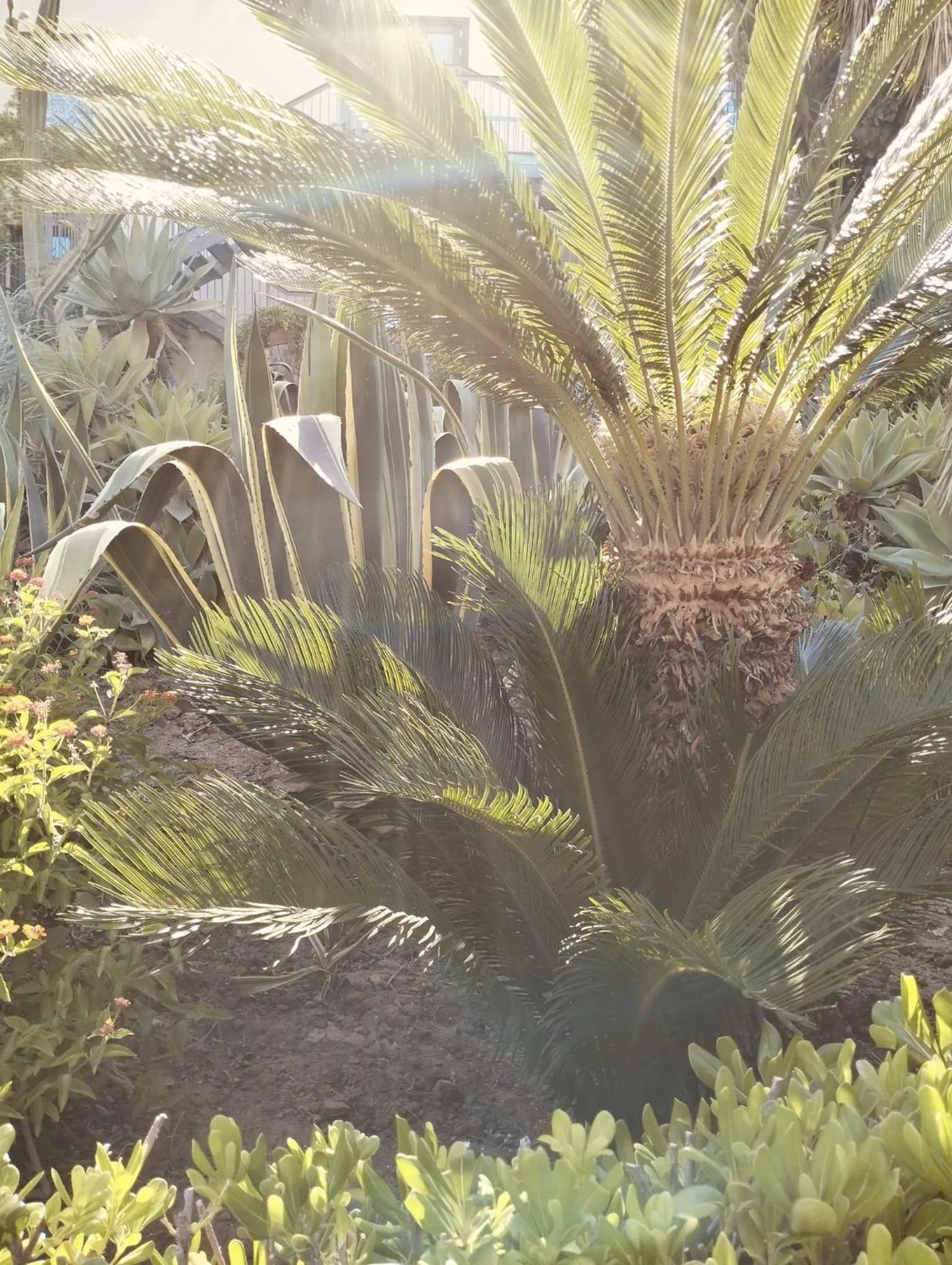 Hotel Foresteria Baglio Della Luna