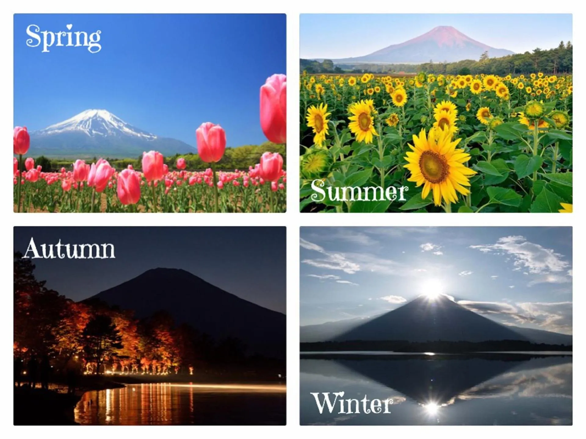 Nearby landmark in Guesthouse Murabito