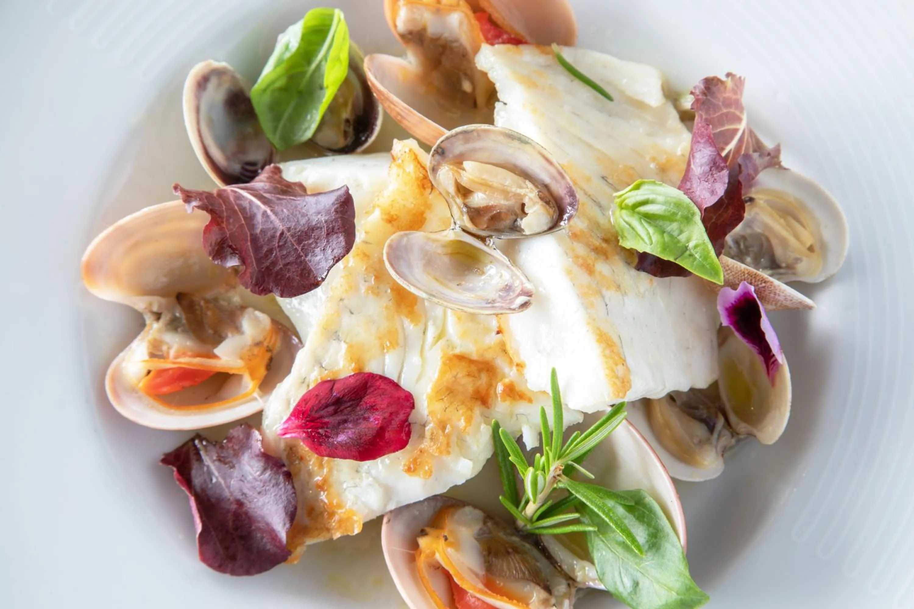 Food and drinks in Hotel Miramare