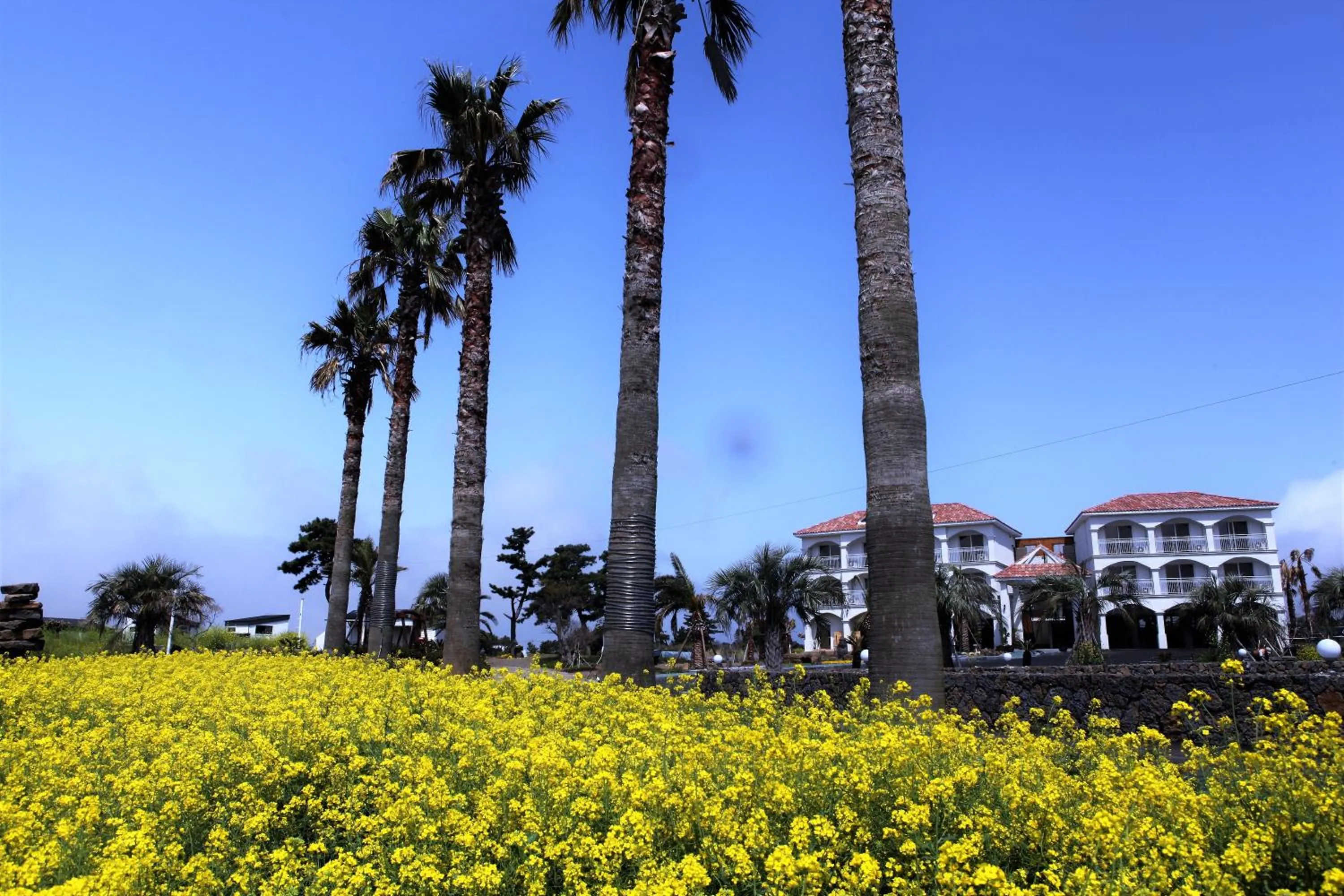 Facade/entrance in MJ Pension & Resort