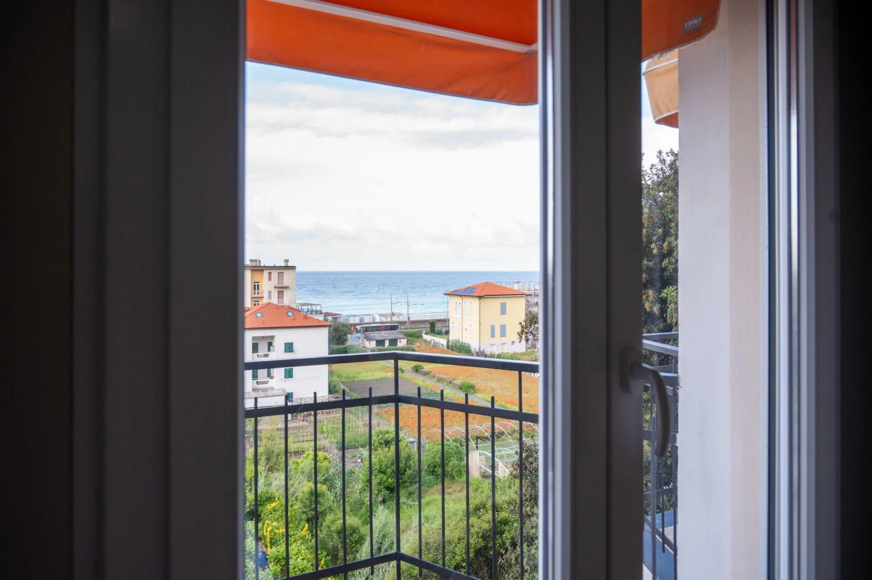 View (from property/room) in Hotel Mediterraneo