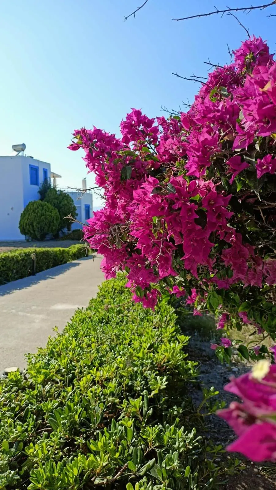 Spring in Nautilus Beach House