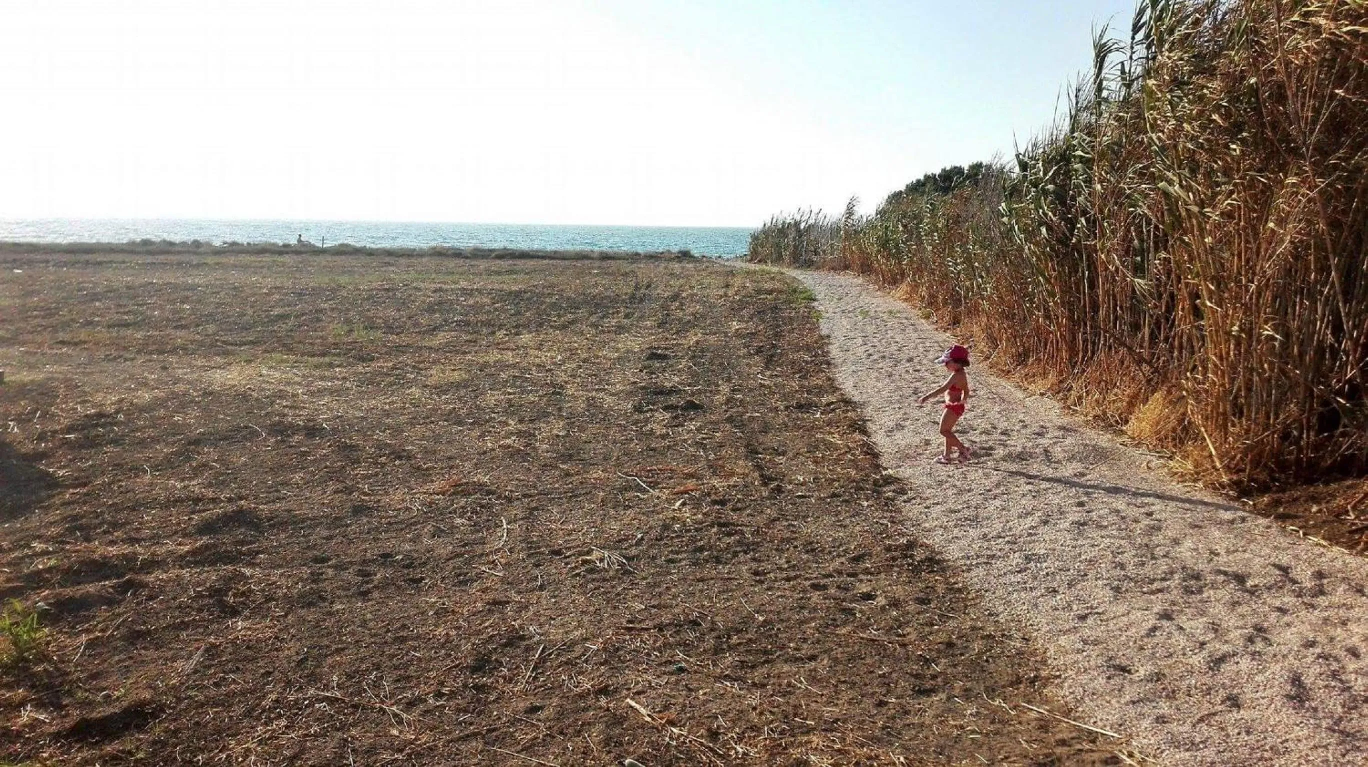 Patio in Nautilus Beach House