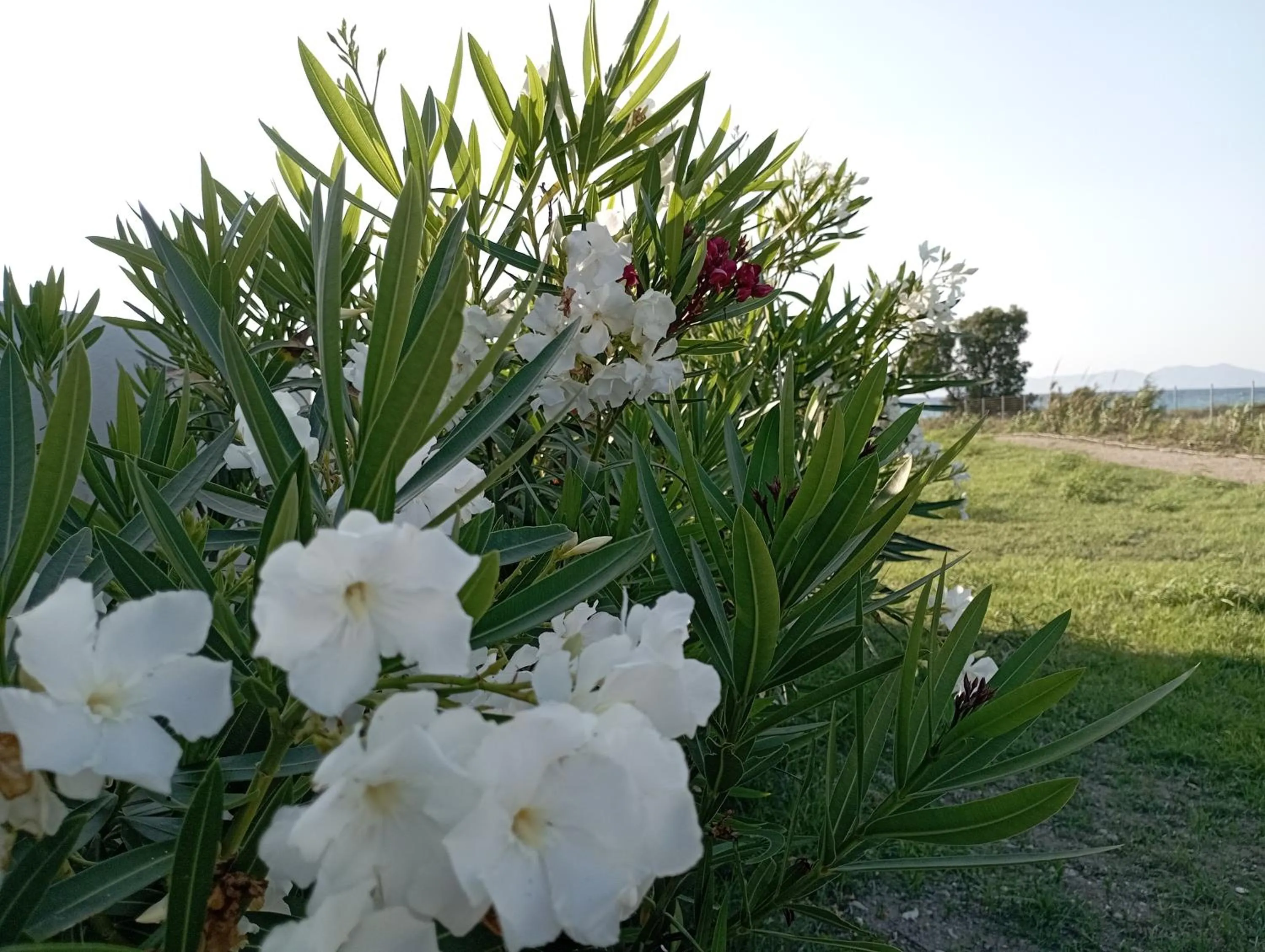 Spring in Nautilus Beach House