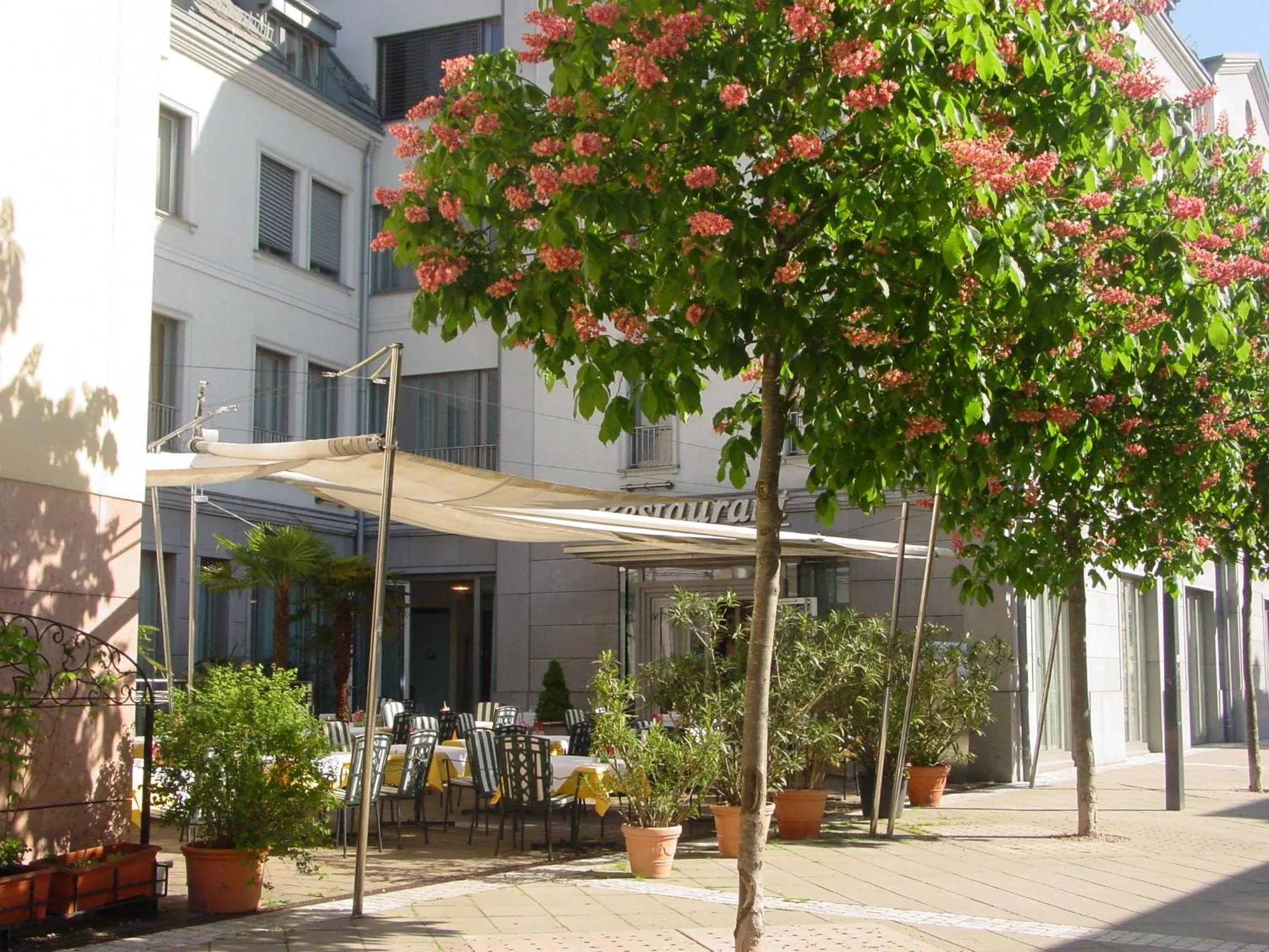 Garden in Hotel Exel