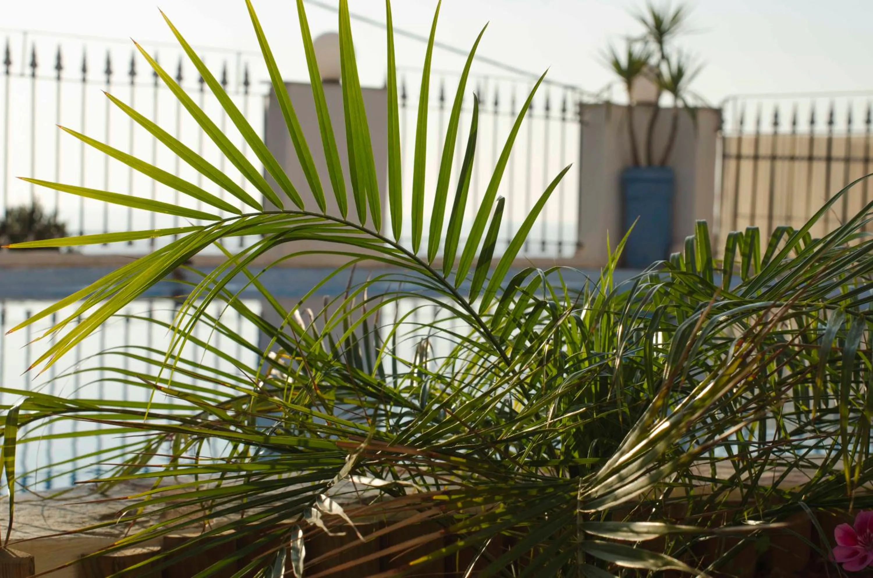 Swimming pool in Esplanade Apartments - Heated Pool