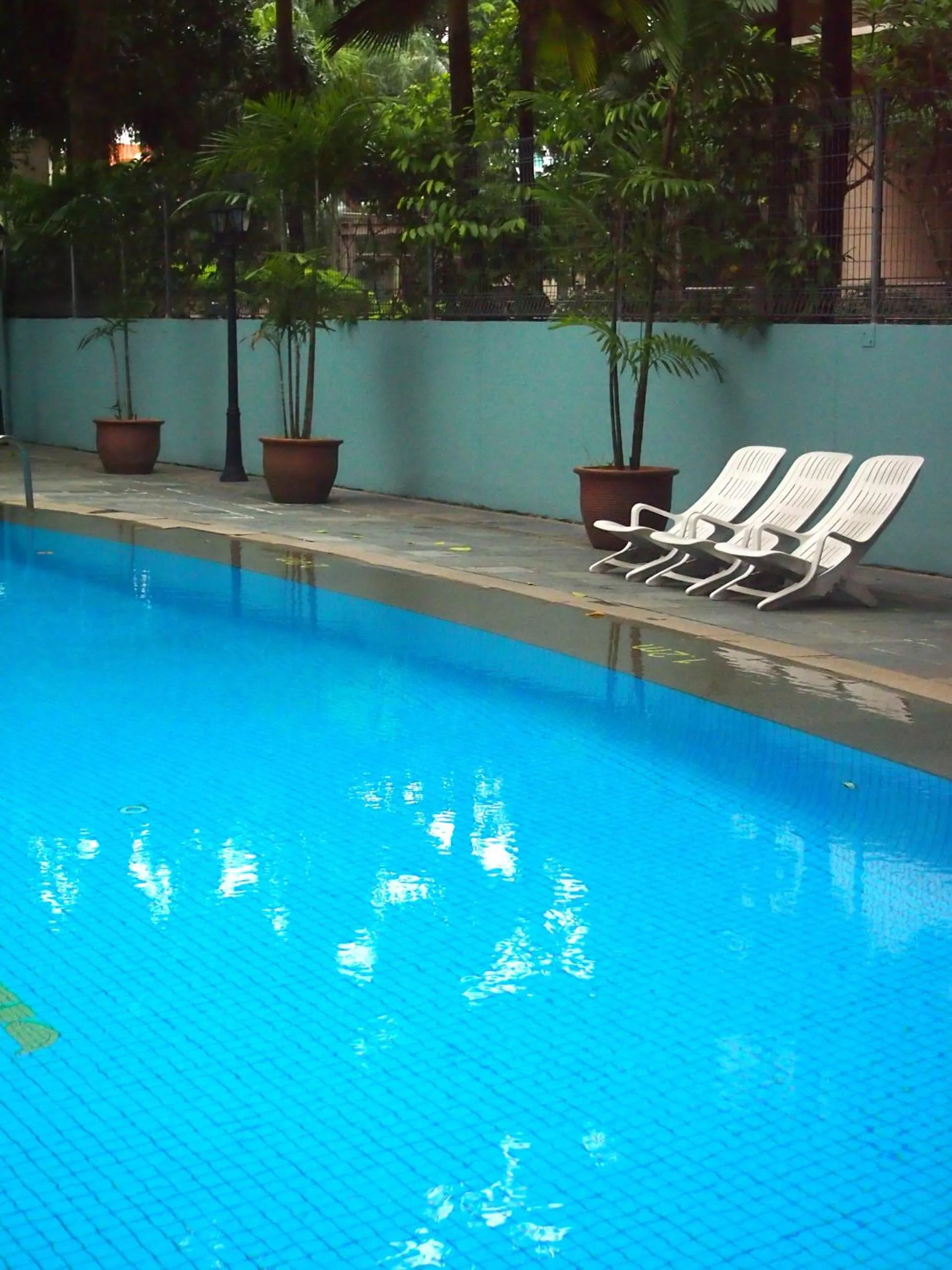 Swimming pool in Hotel Royal