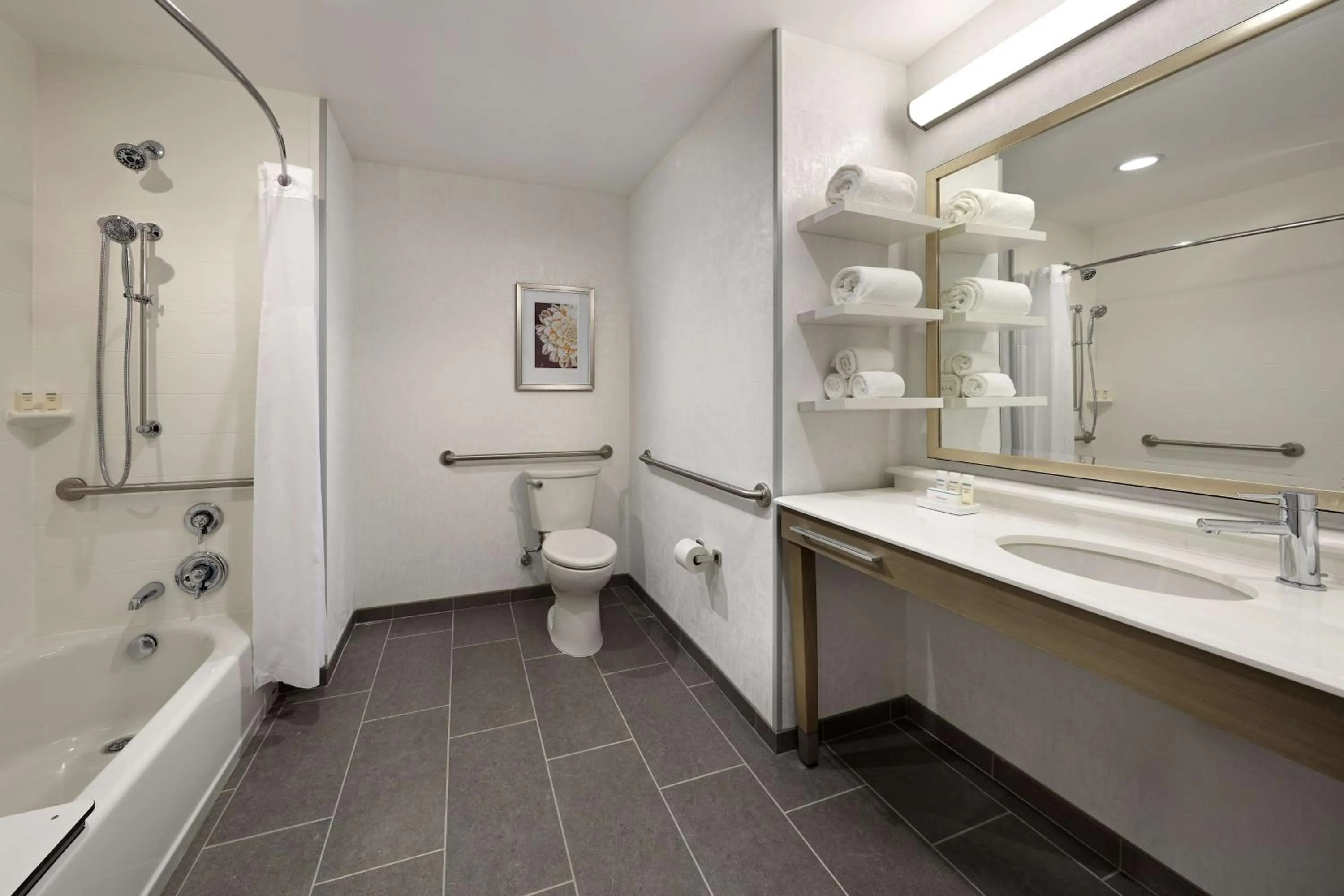 Bathroom in Hampton Inn Long Beach Airport, Ca