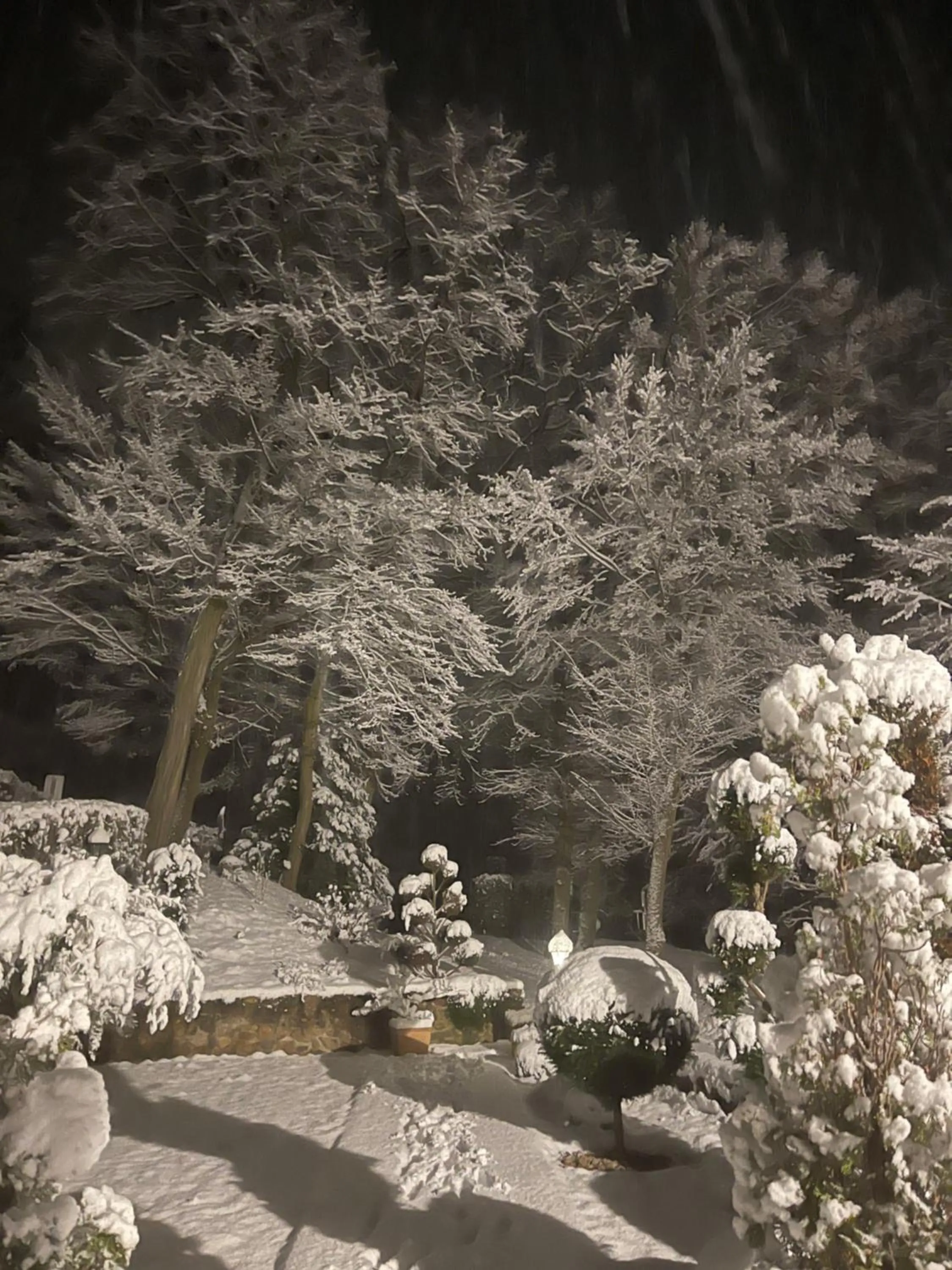 Landhotel Lembergblick