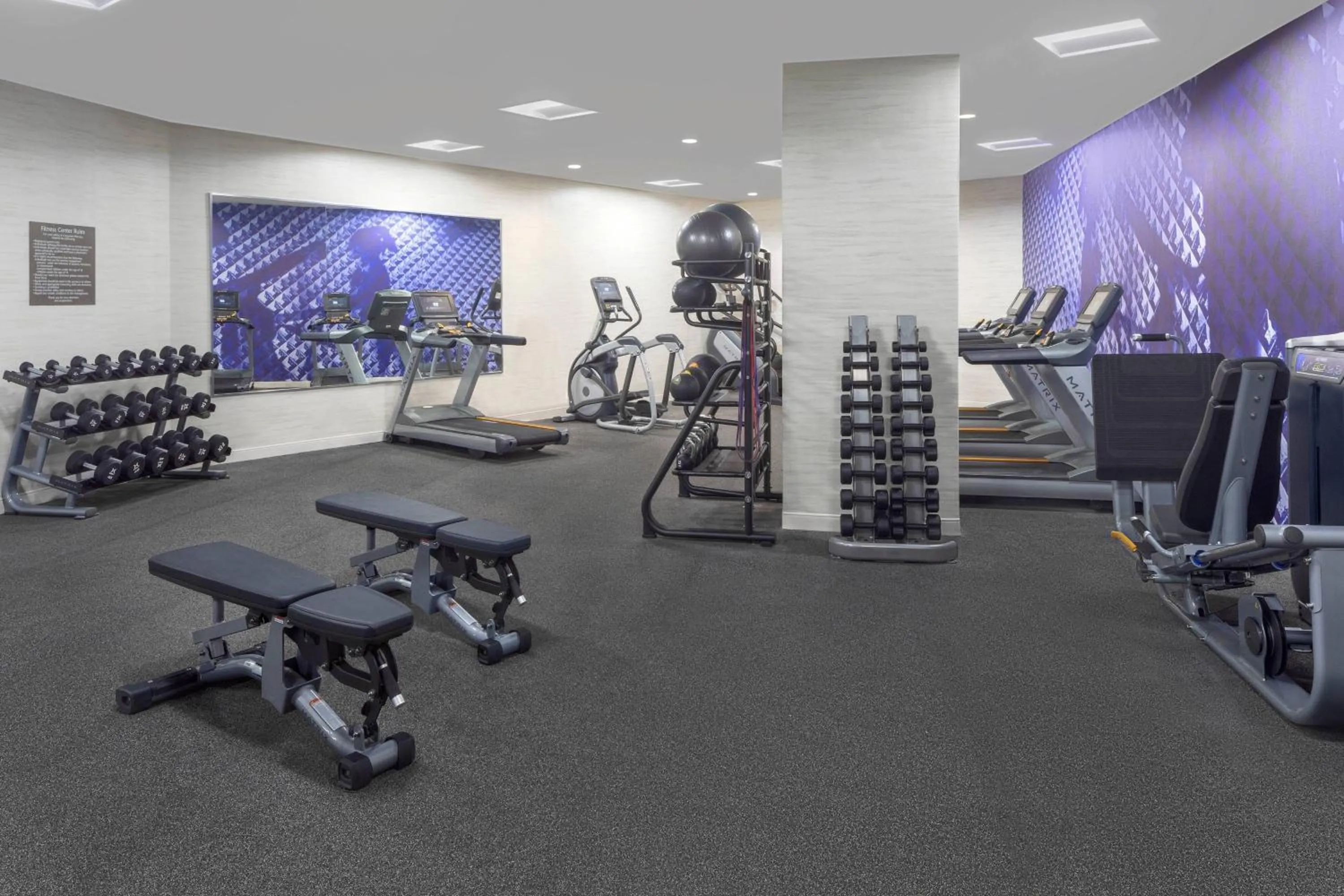 Fitness centre/facilities in Delta Hotels by Marriott Philadelphia Airport
