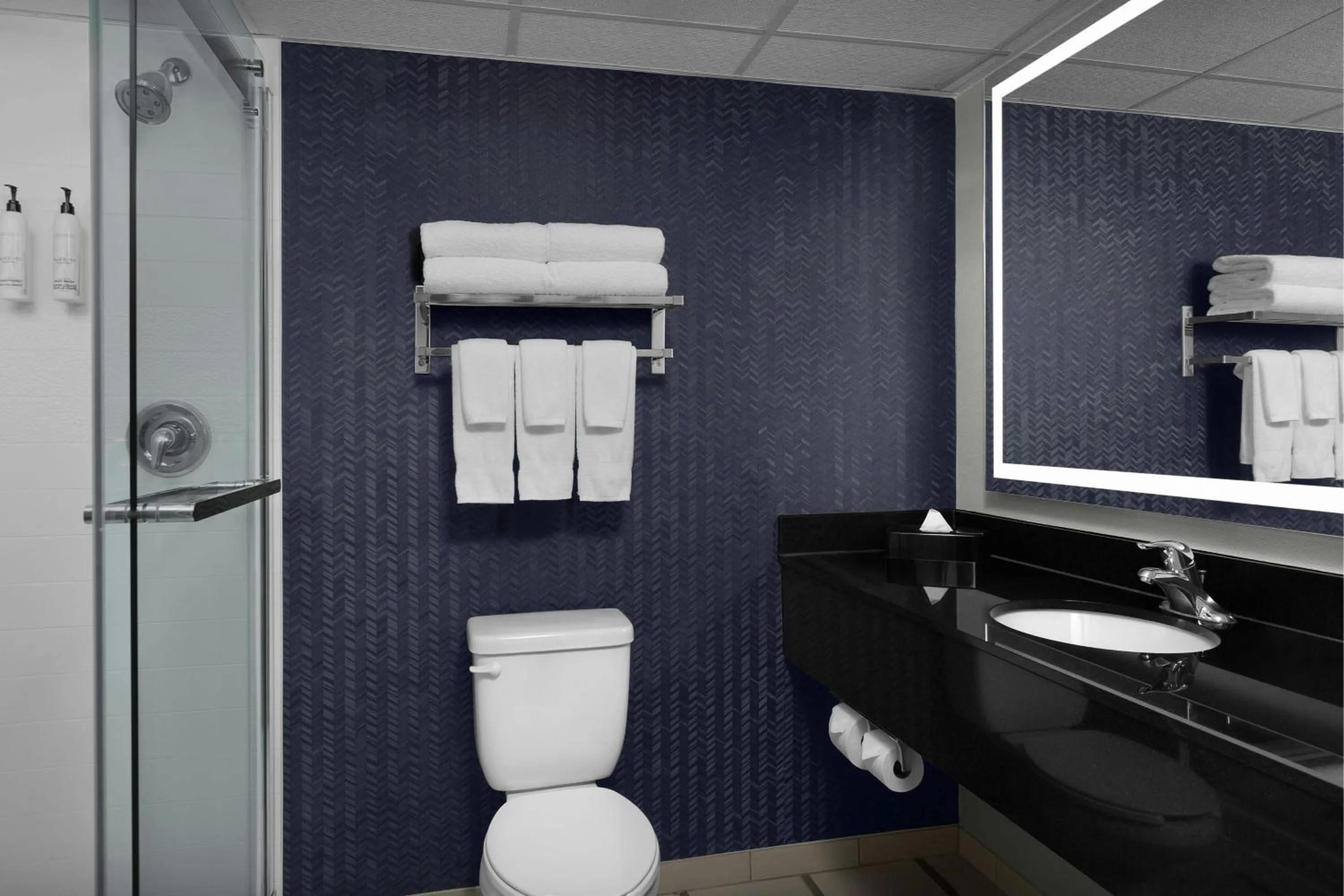 Bathroom in Fairfield Inn and Suites by Marriott Winston Salem/Hanes