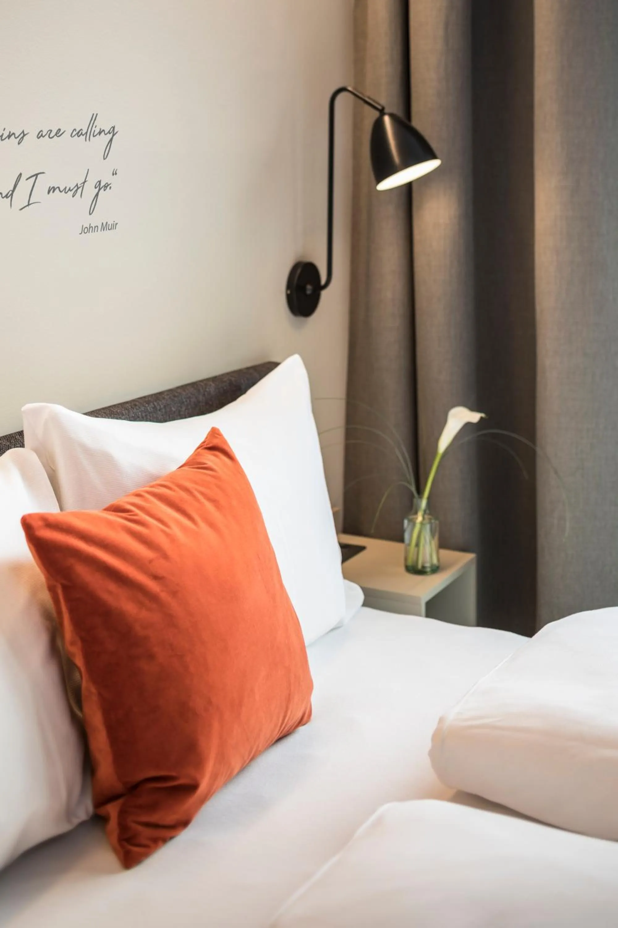 Bed in Arena Franz Ferdinand Nassfeld