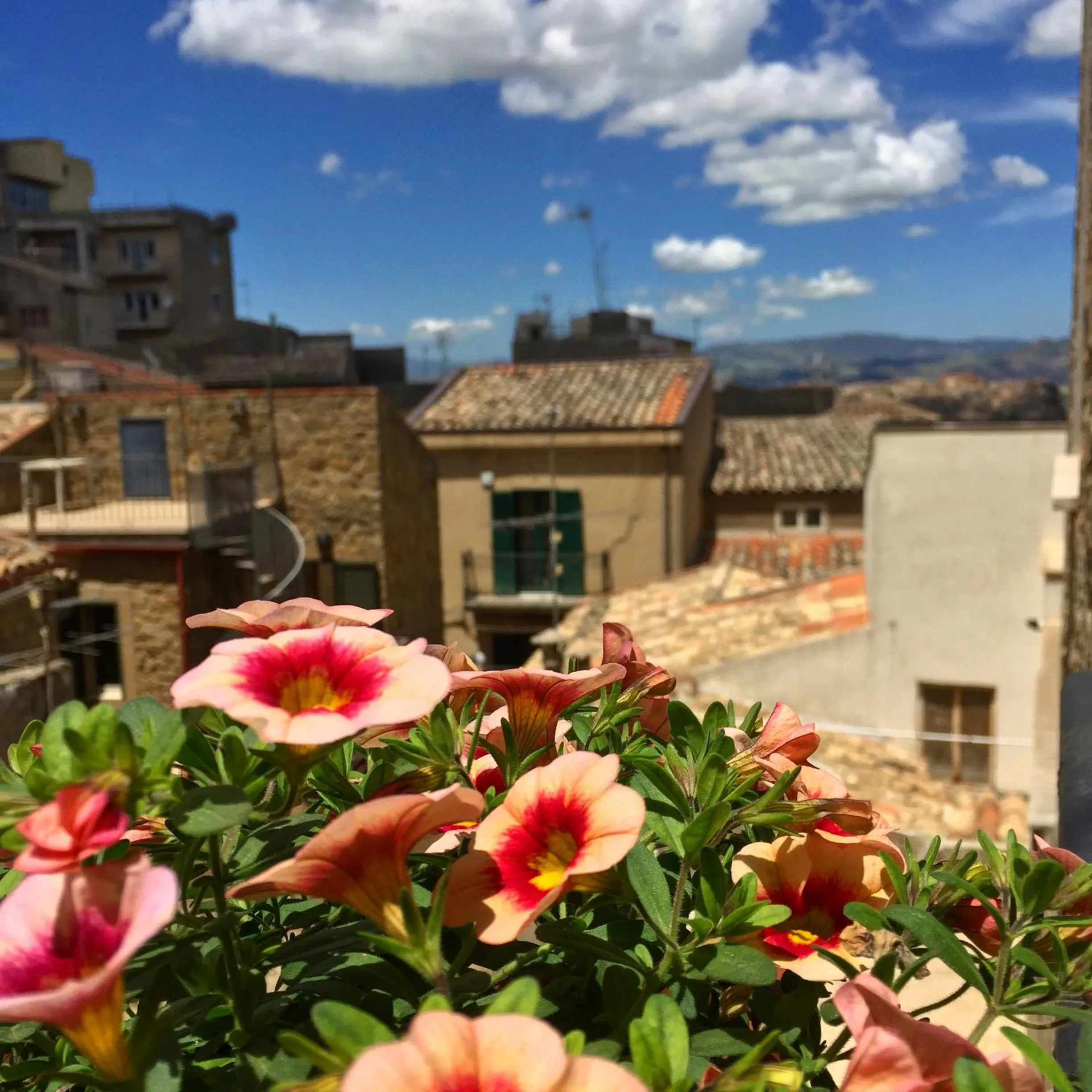 View (from property/room) in B&B A Casa dei Nonni