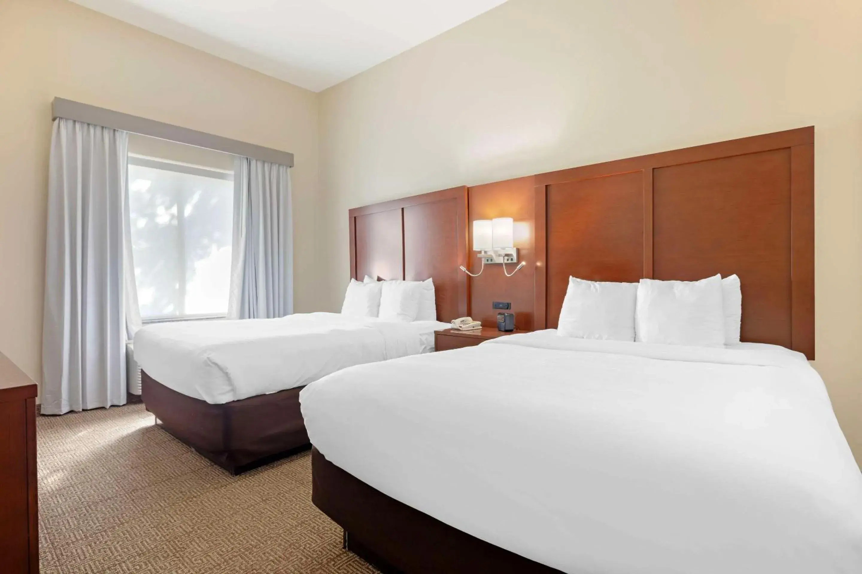 Queen Suite - Disability Access/Non-Smoking in Comfort Suites West Dallas - Cockrell Hill Queen Suite - Disability Access/Non-Smoking in Comfort Suites West Dallas - Cockrell Hill