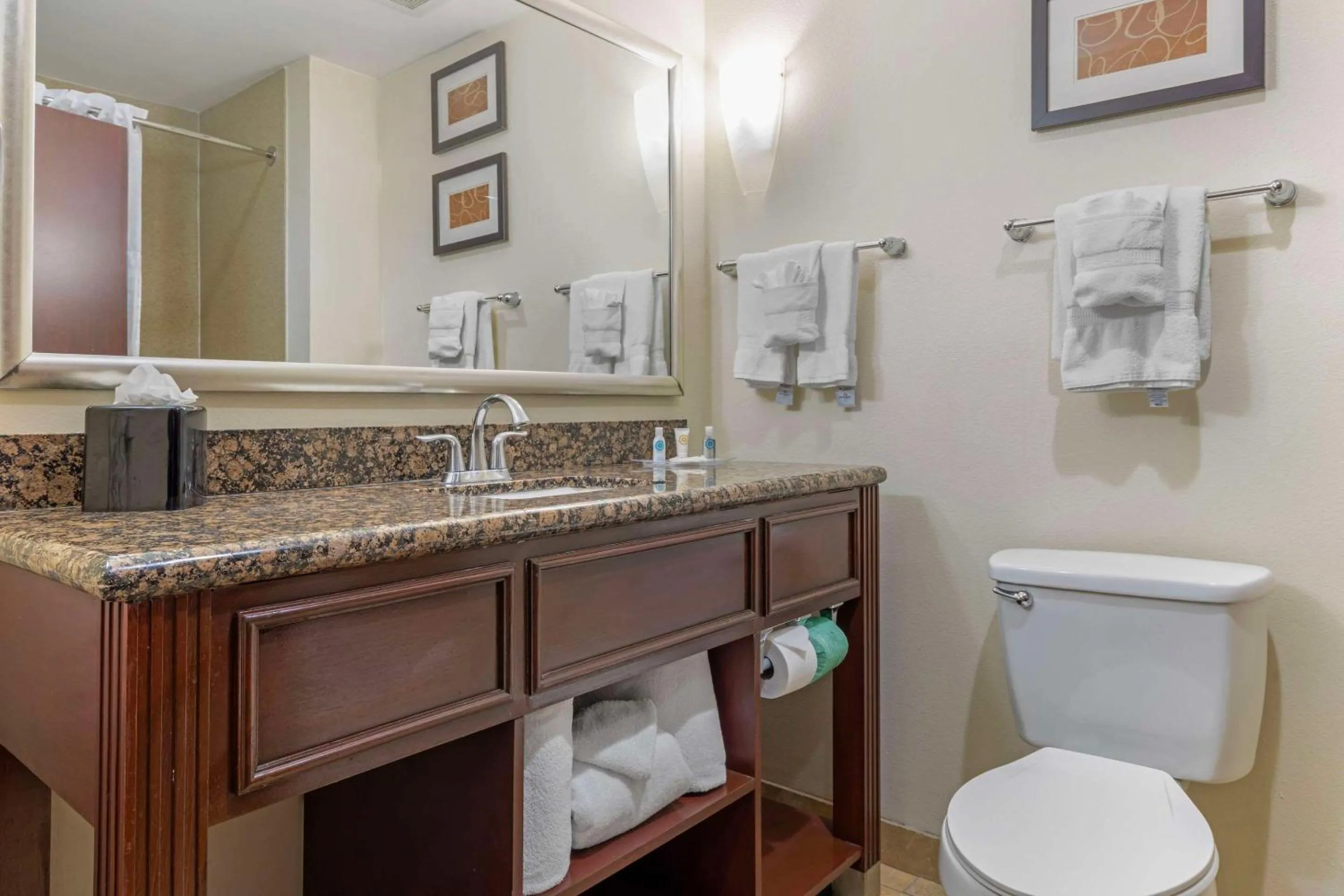 Bathroom in Comfort Suites West Dallas - Cockrell Hill