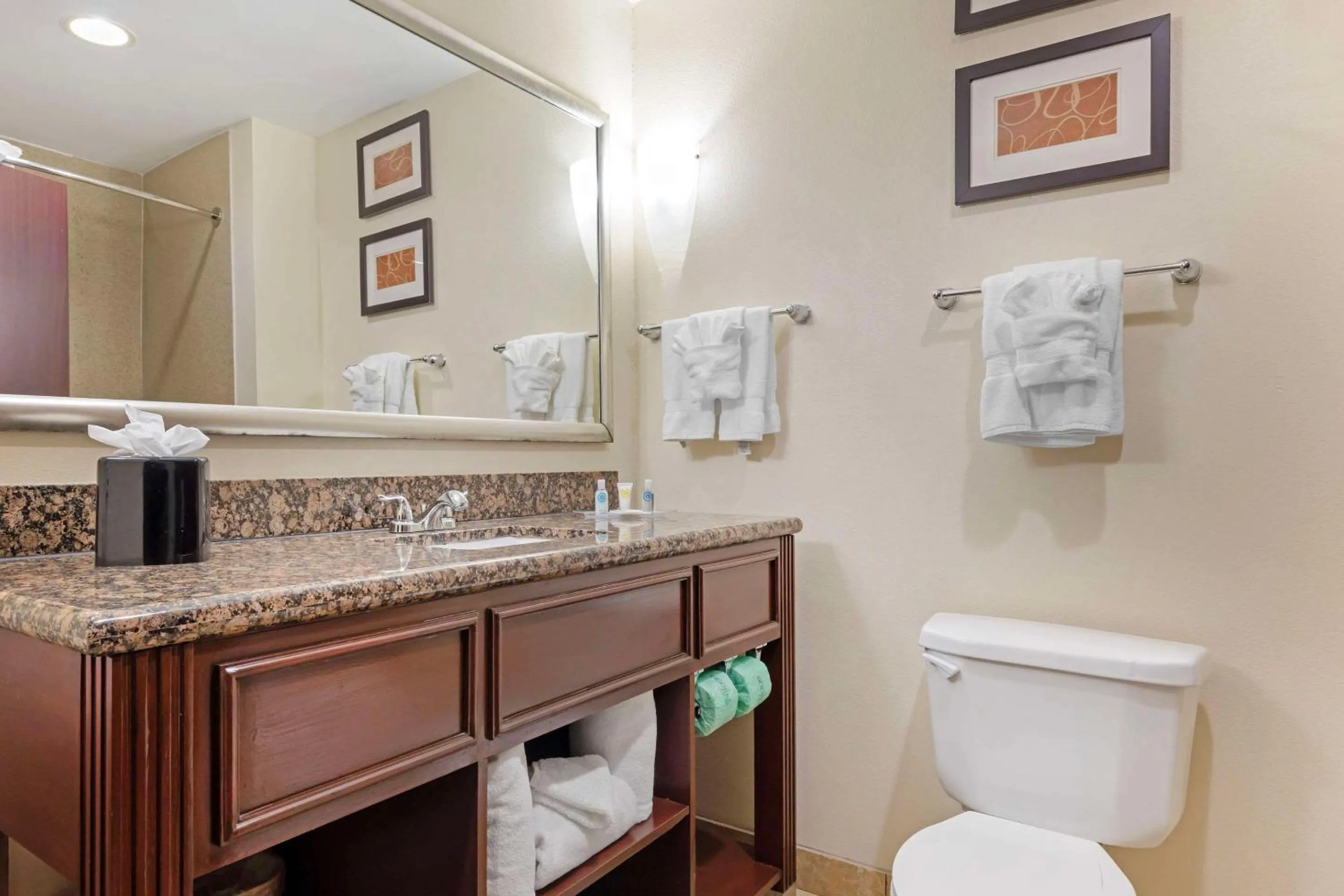 Bedroom in Comfort Suites West Dallas - Cockrell Hill