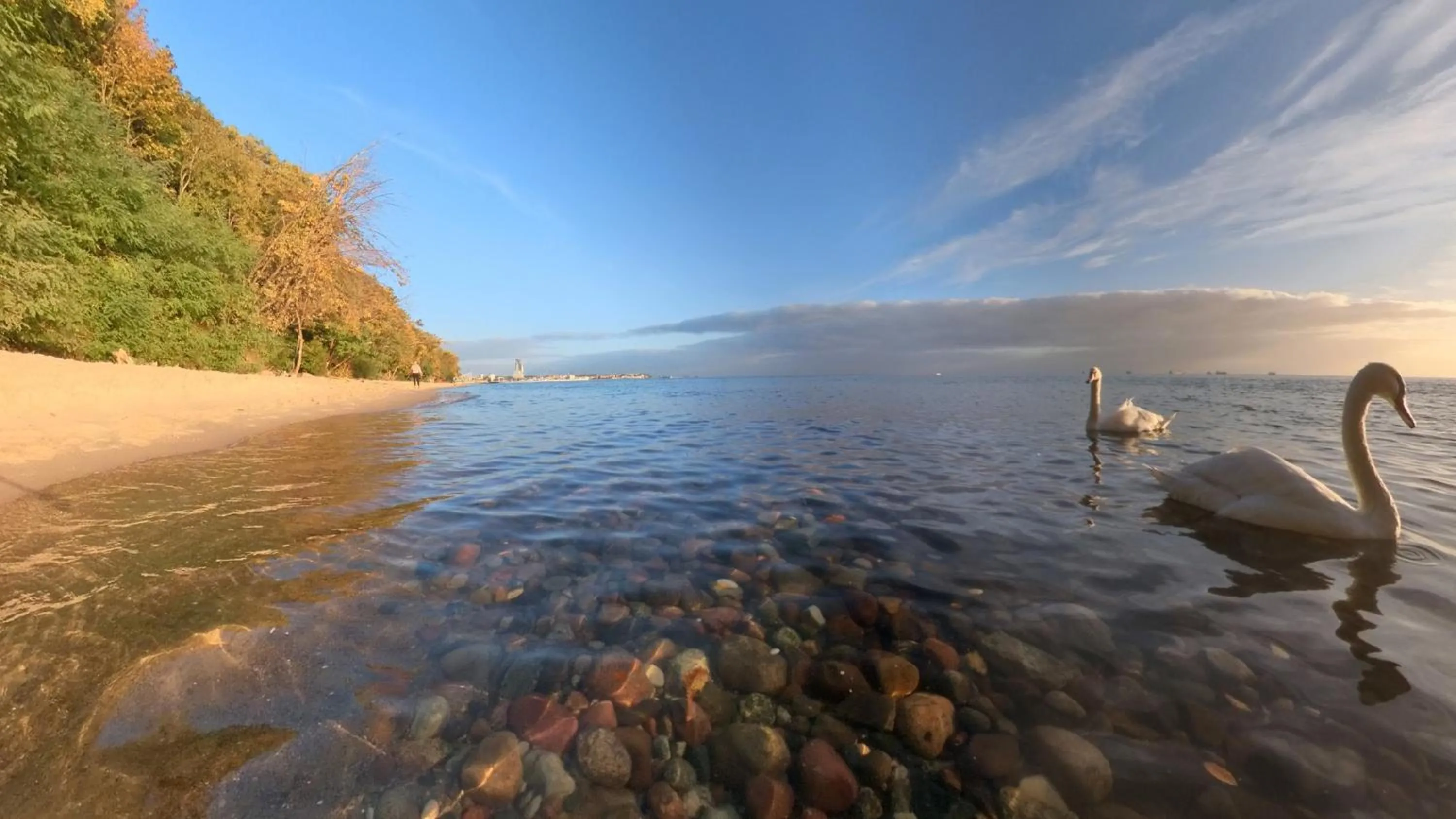 Property building in Błękitny Żagiel