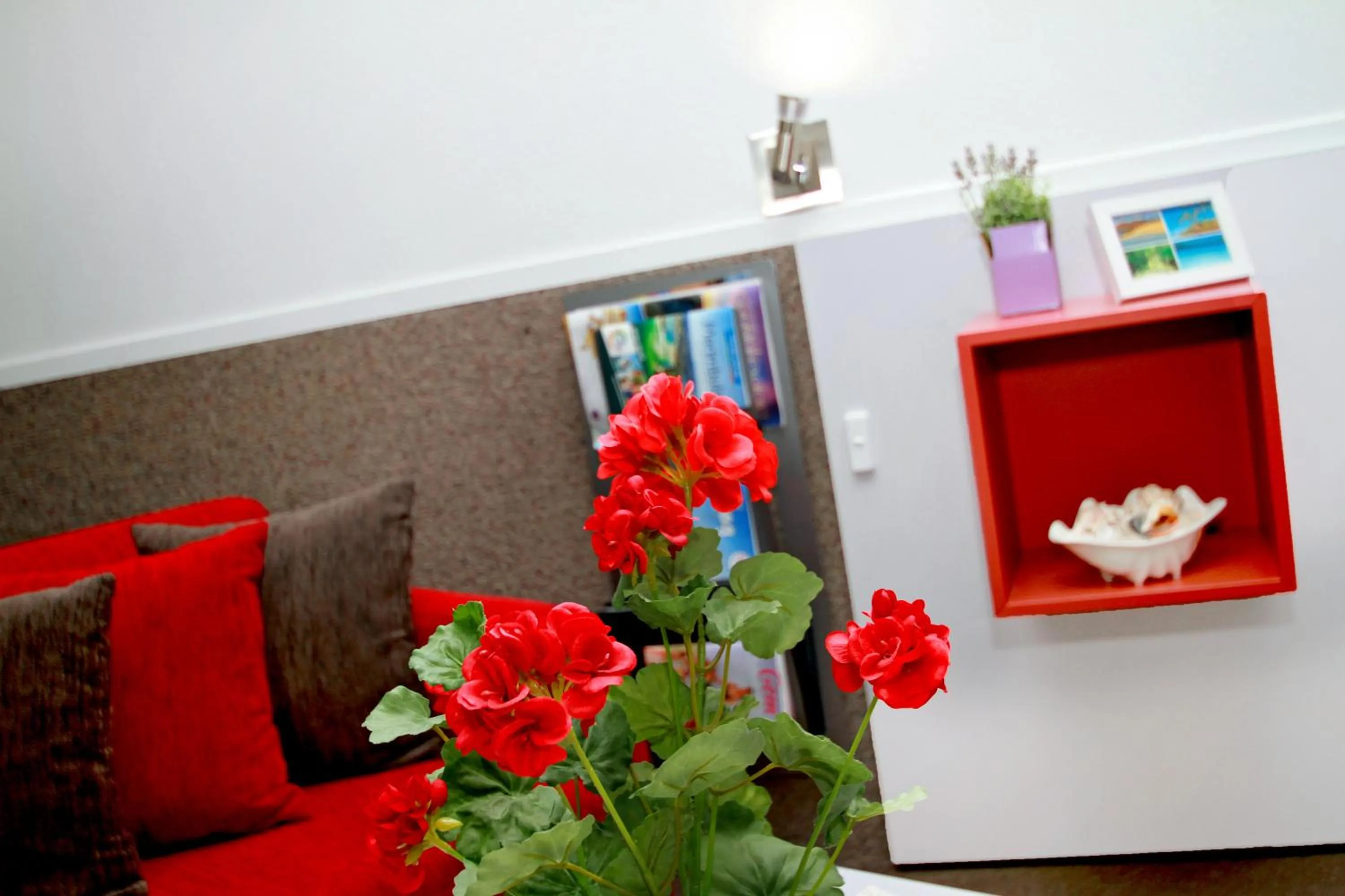 Bed in Sea Spray Motel - Merimbula