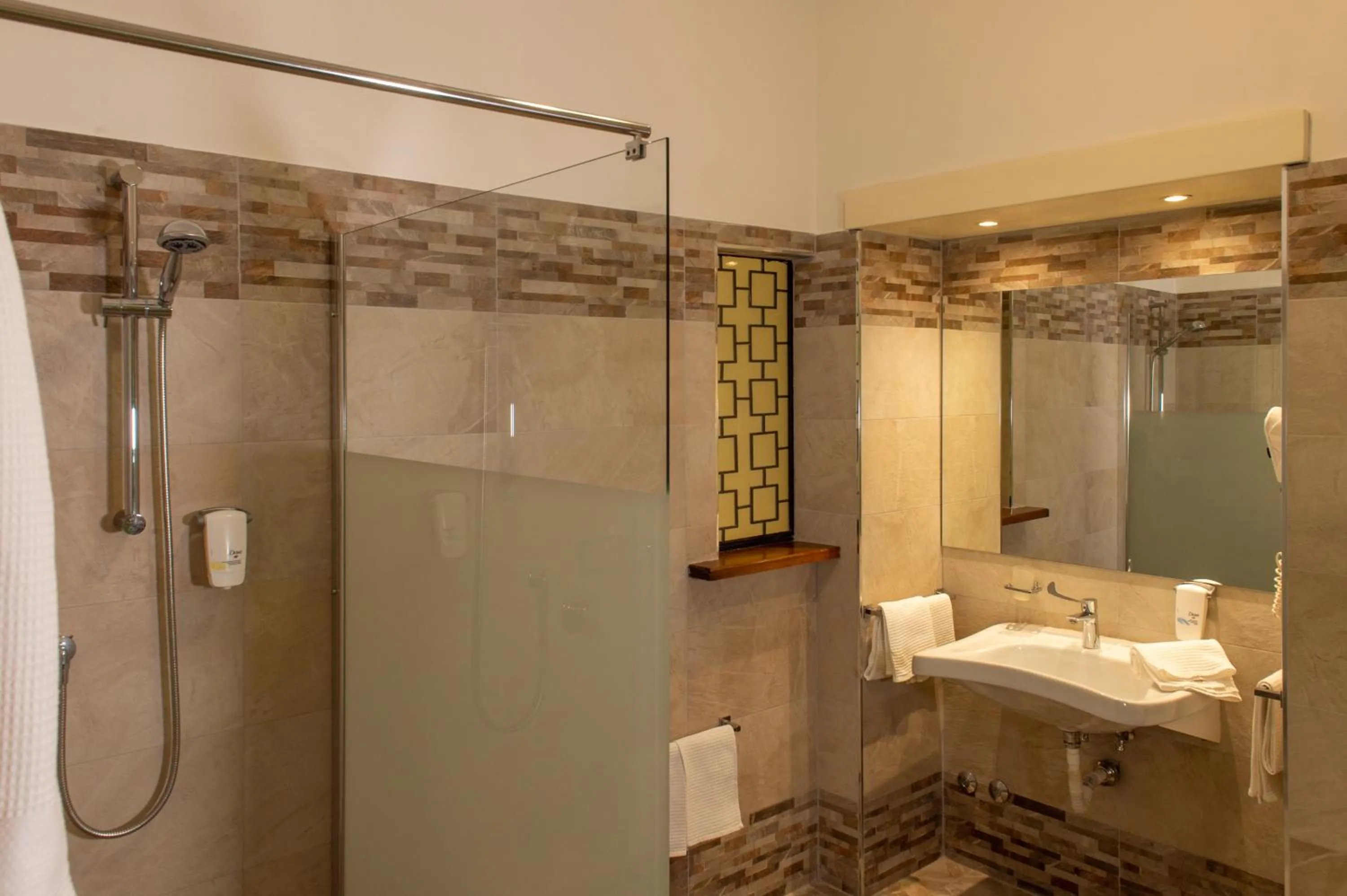 Toilet in Hotel Minerva