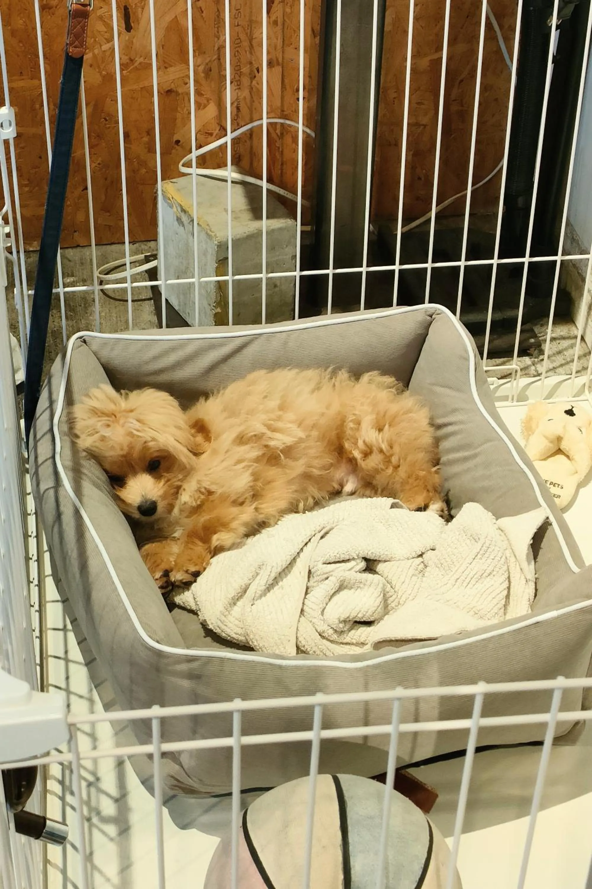 Tokyo Guest House Ouji Music Lounge