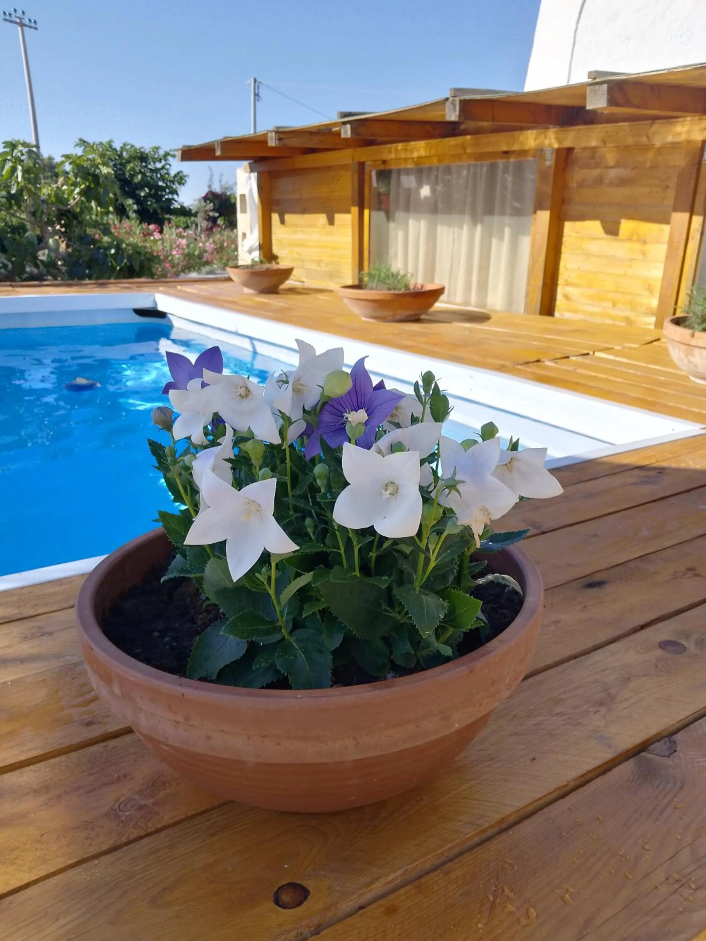 B&B Luxury Villa Olimpia Home Restaurant