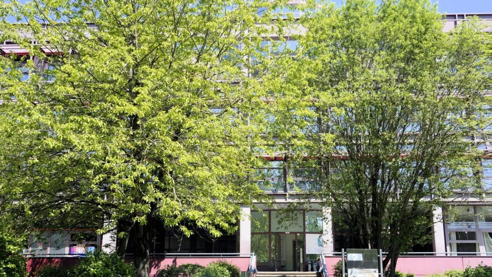 Property building in Low Budget Hostel