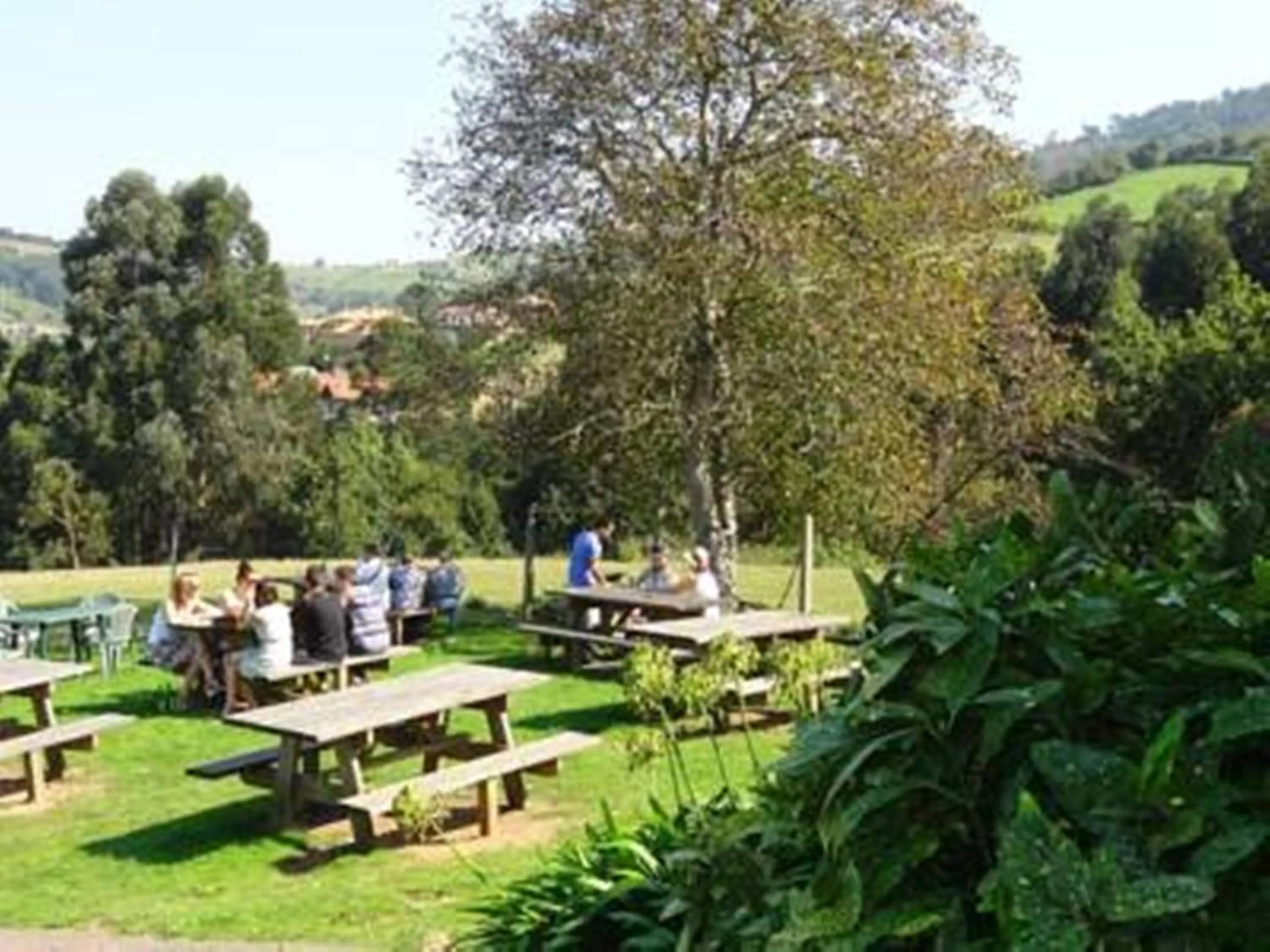 Natural landscape in El Mirador de Deva