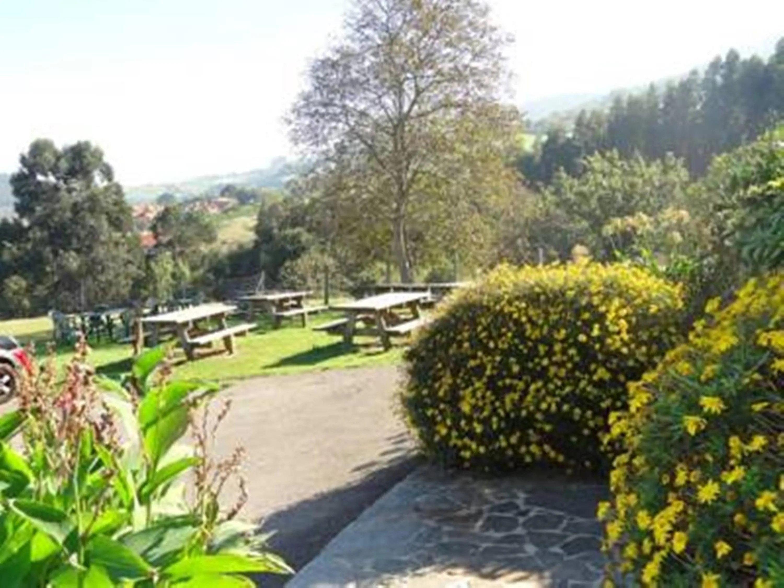 Natural landscape in El Mirador de Deva