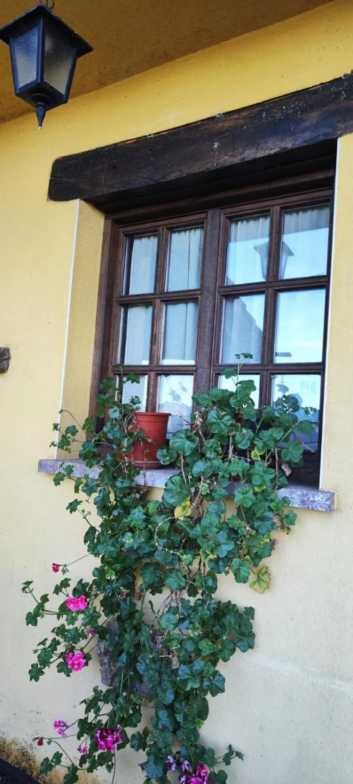 Day in El Mirador de Deva