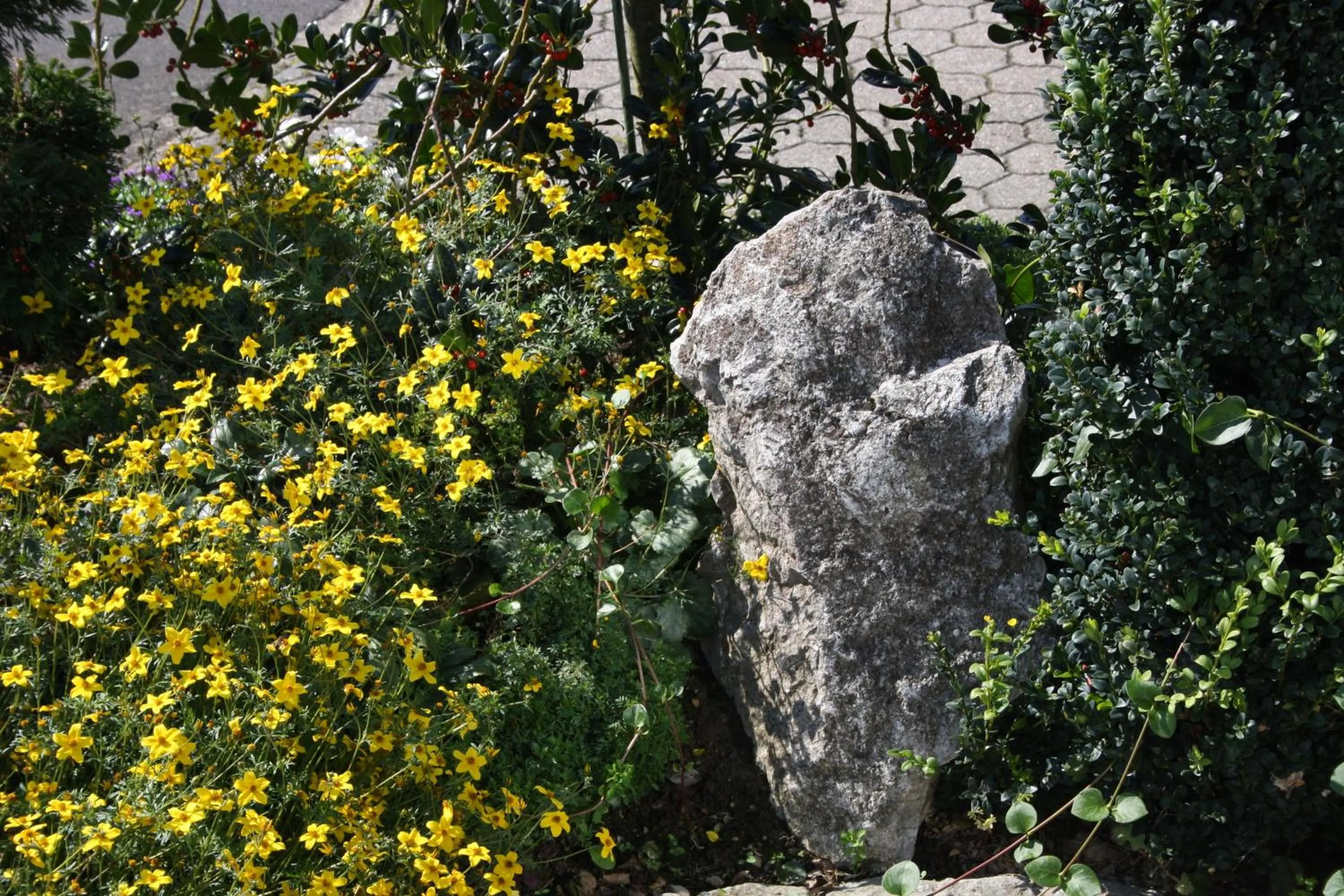 Natural landscape in Hotel Retterath am Nürburgring