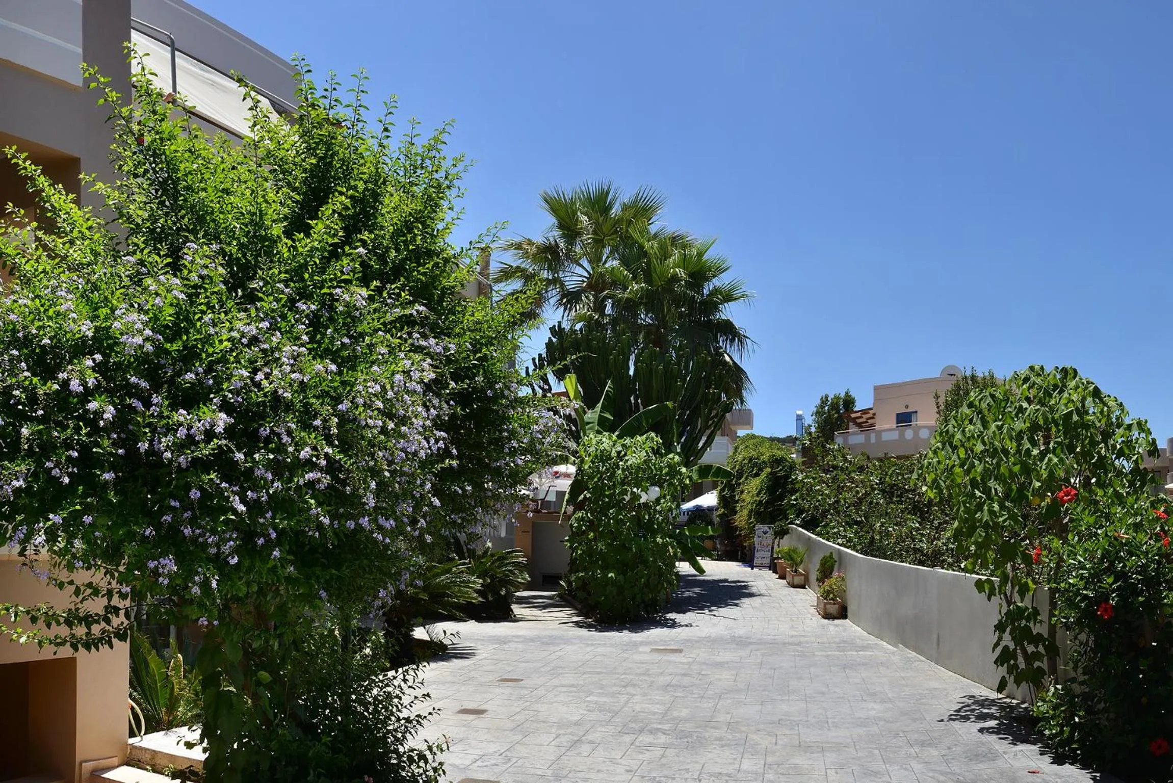 Garden in Akatos Hotel