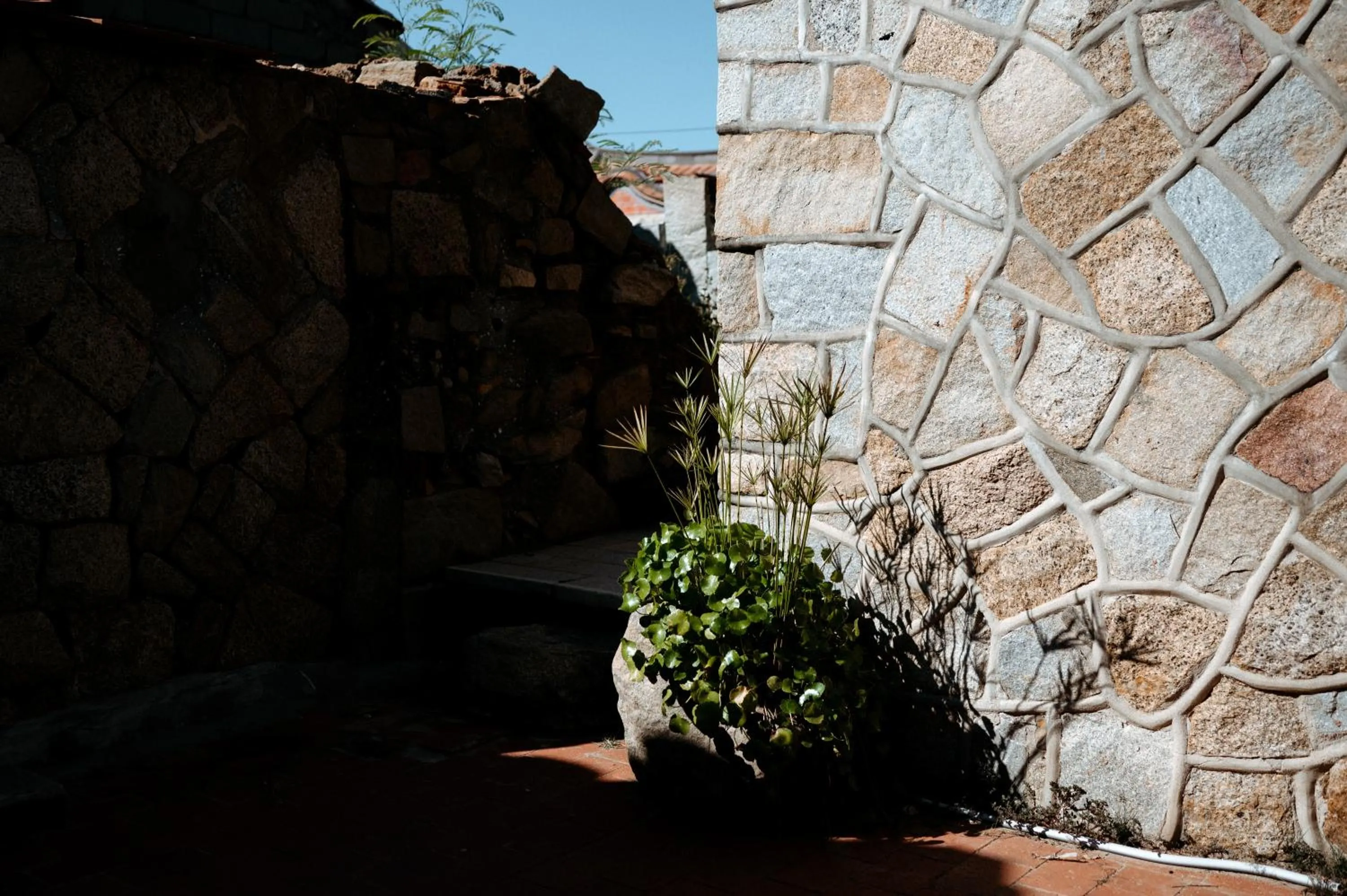 Property building in Live Guest House