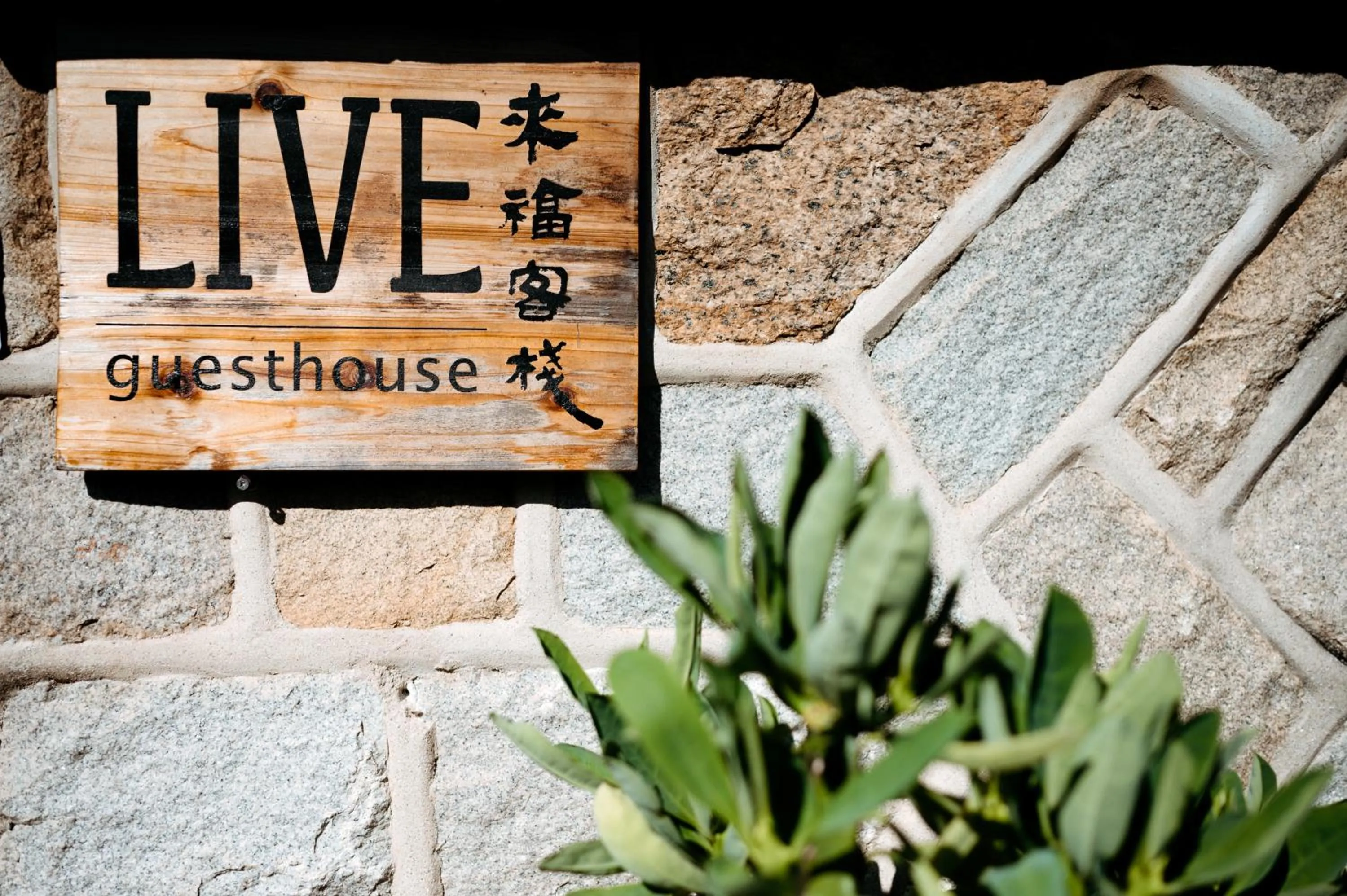 Property logo or sign in Live Guest House