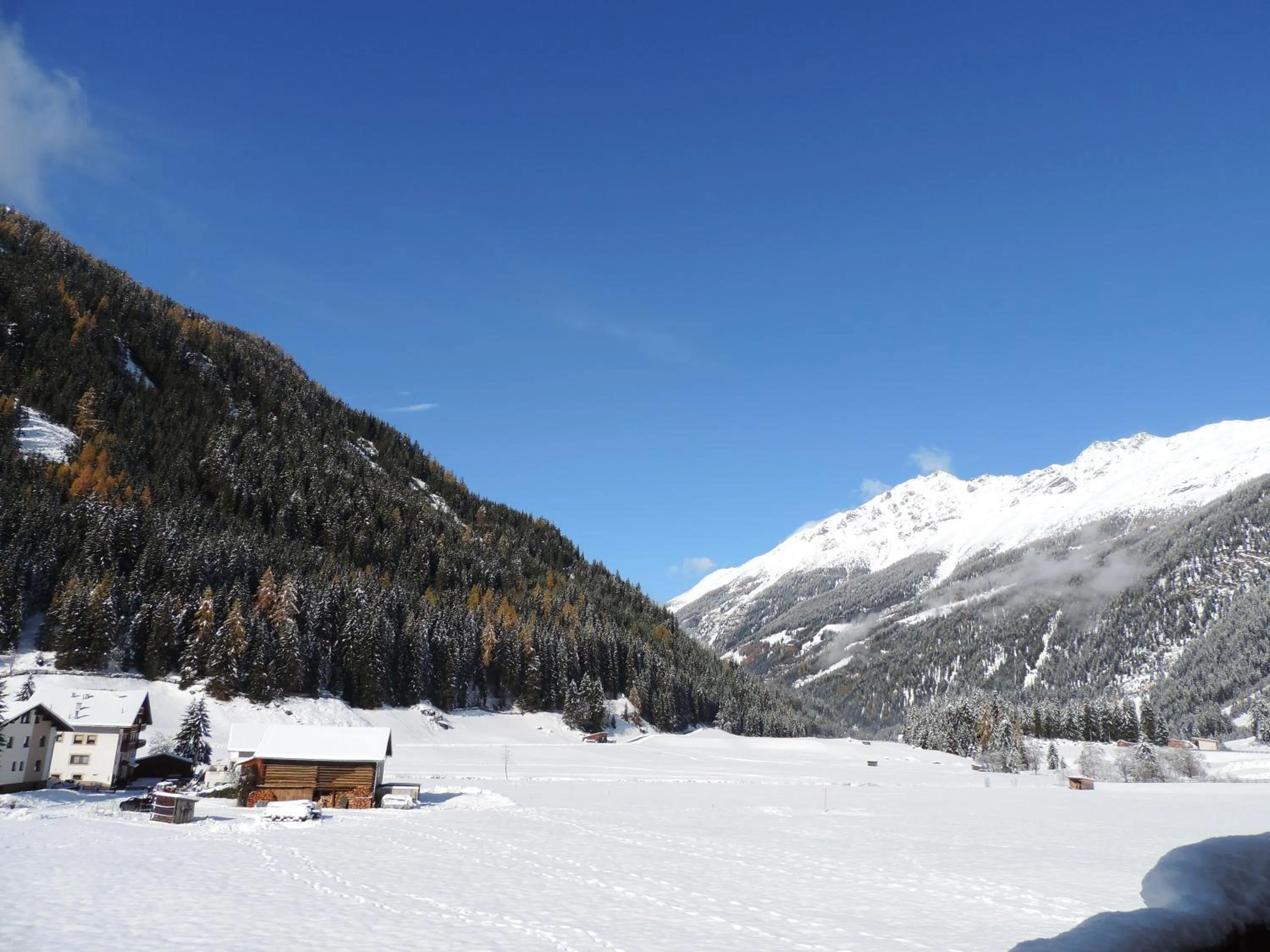 View (from property/room) in Haus Renate