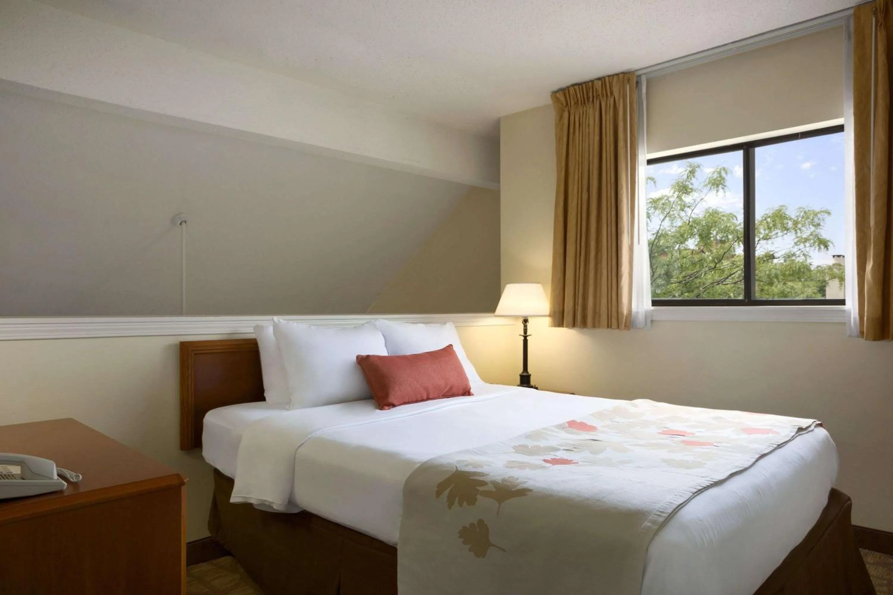 Photo of the whole room, Bed in Affordable Suites of America Grand Rapids