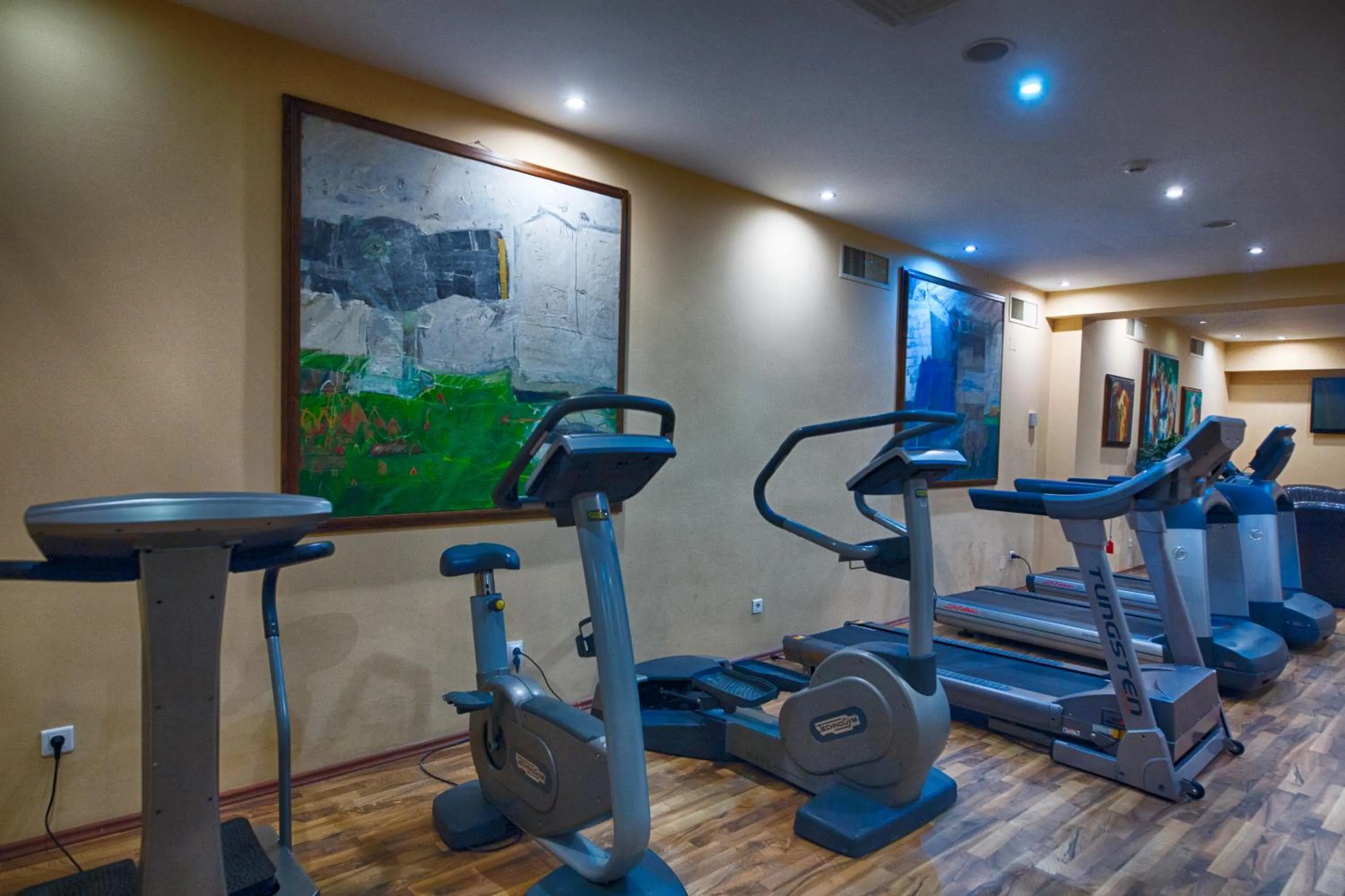 Spa and wellness centre/facilities in Grand Hotel Sofianu