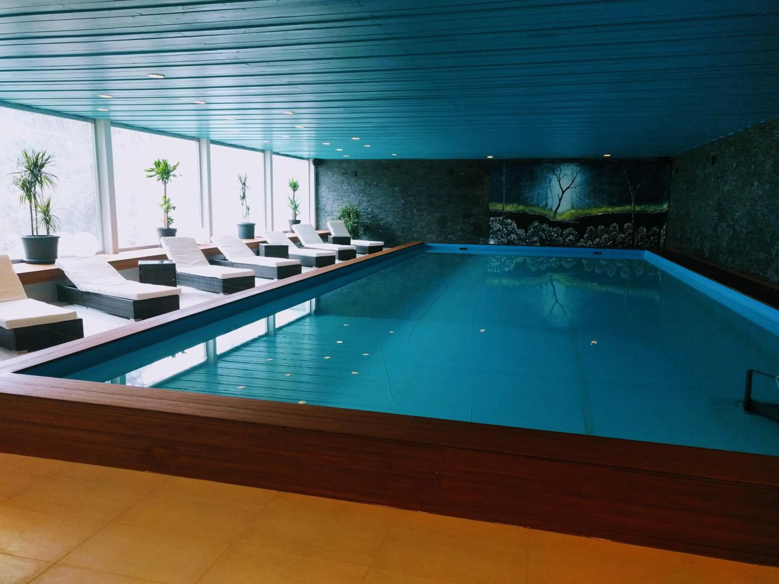 Swimming pool in Holiday accommodation - swimming pool available