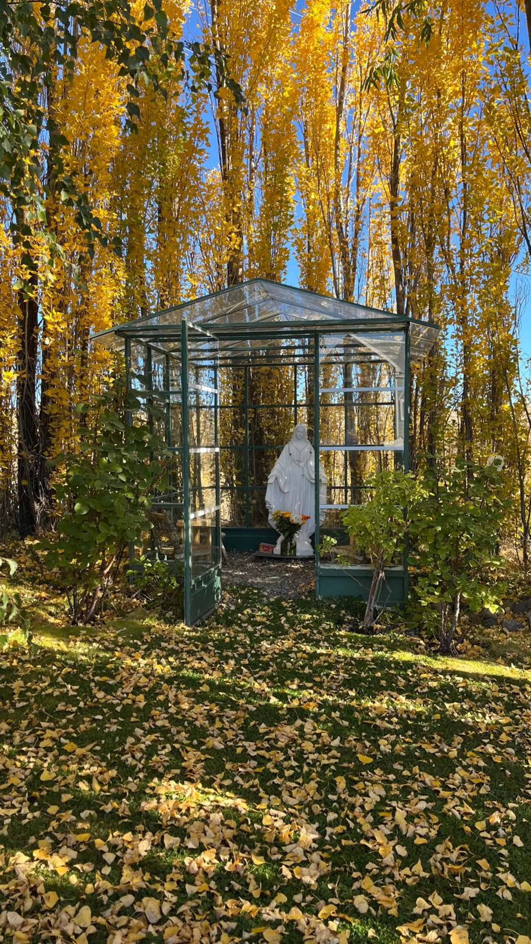 Garden view in Los Ponchos Hotel