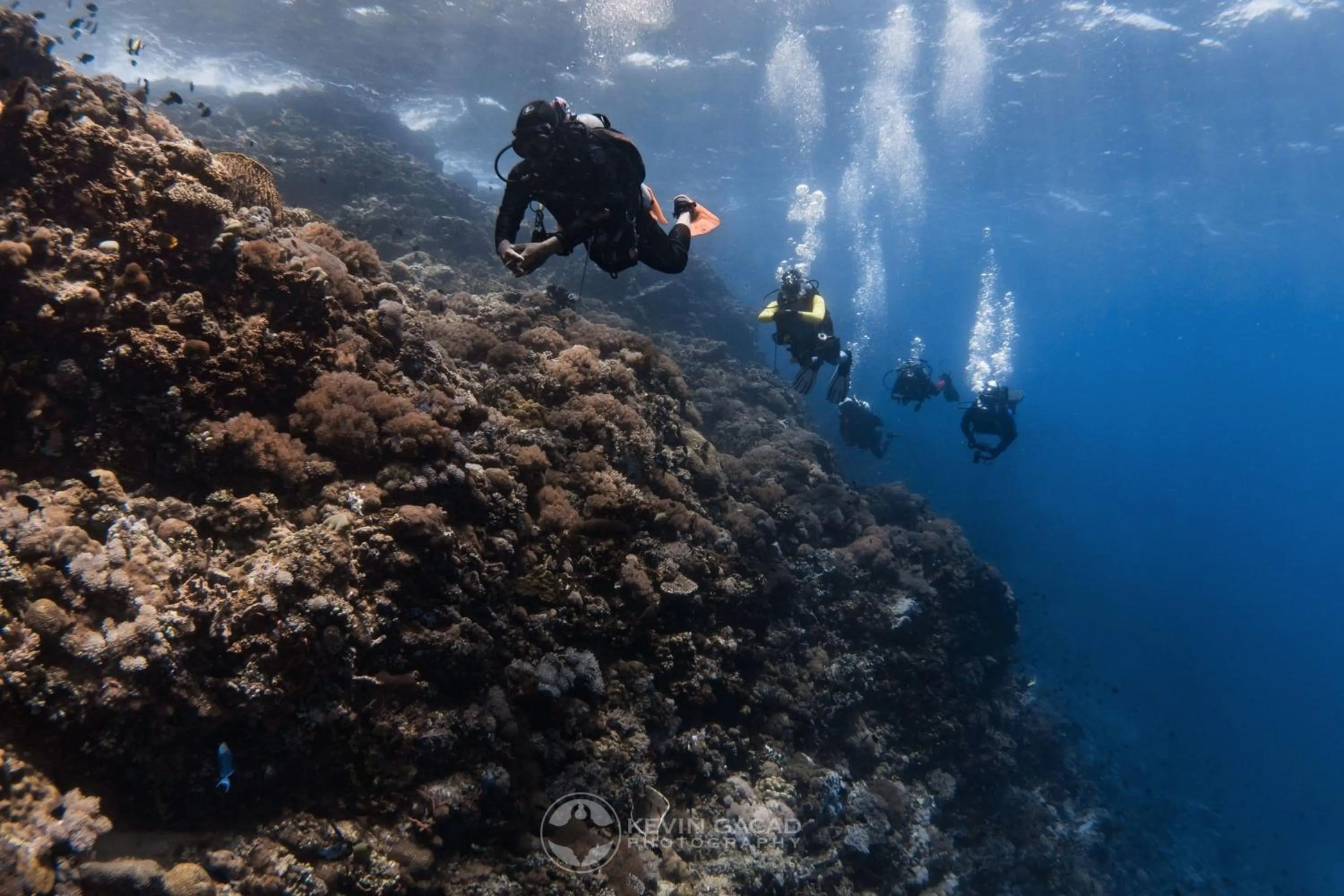 Diving in Badladz Staycation Condos