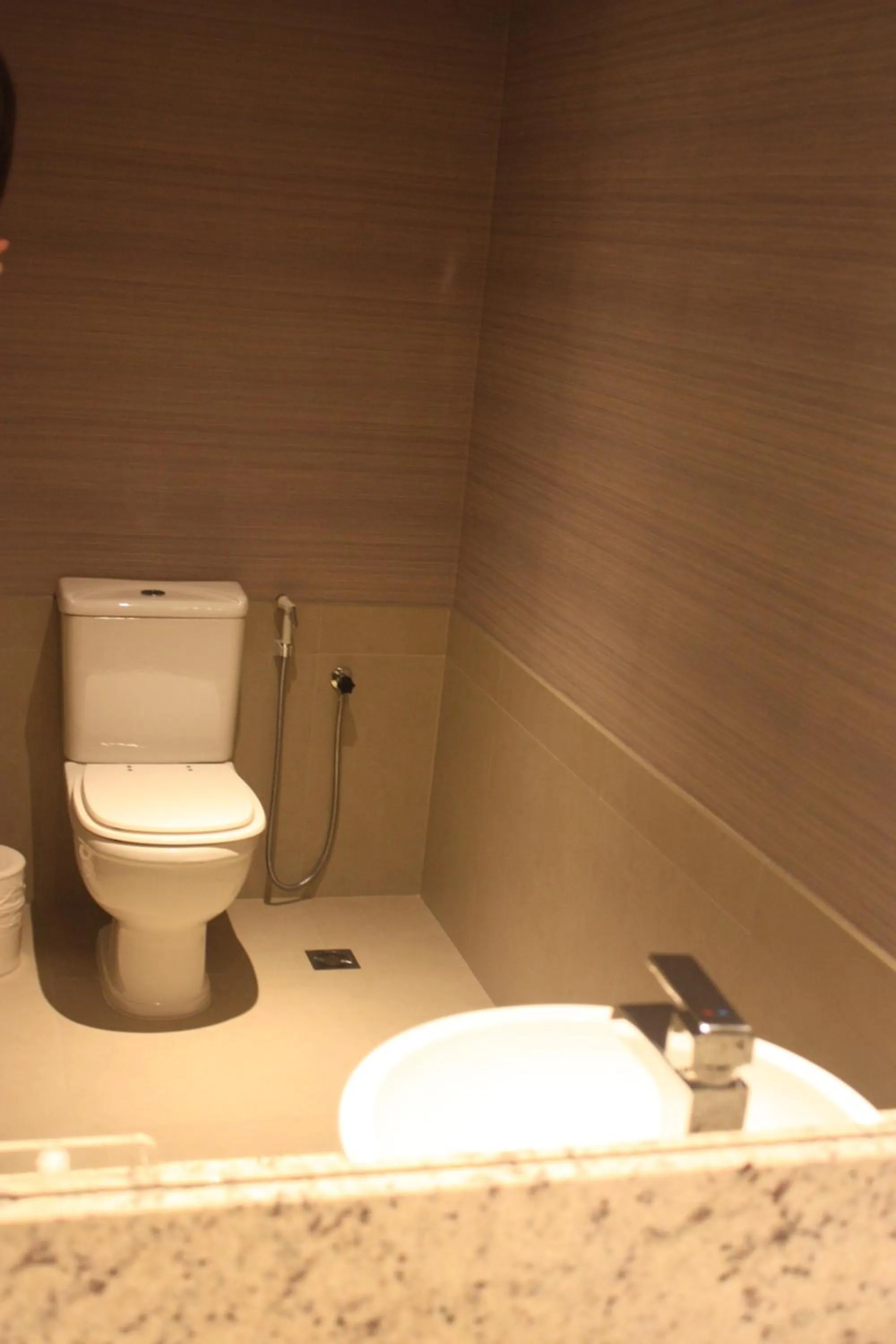 Toilet in Radisson Hotel Curitiba