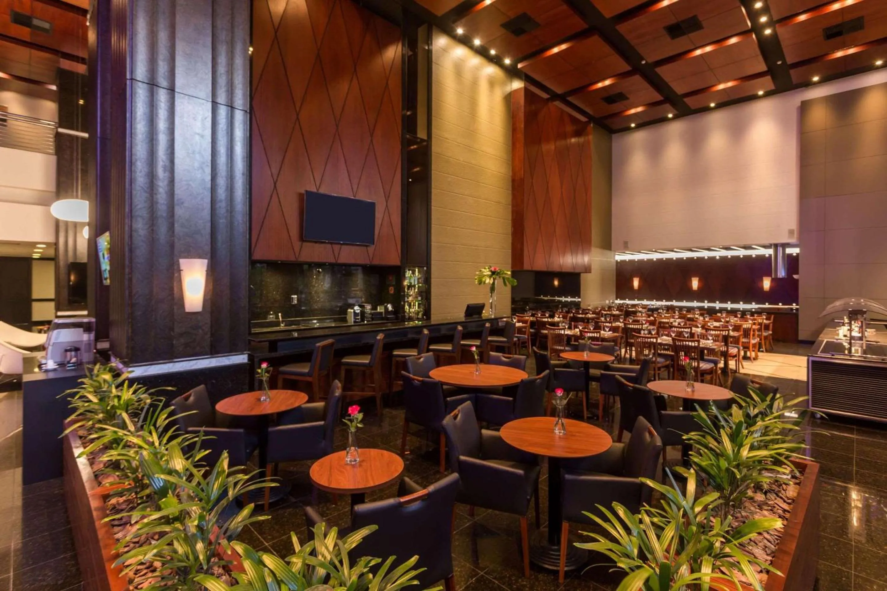 Lounge or bar in Radisson Hotel Curitiba