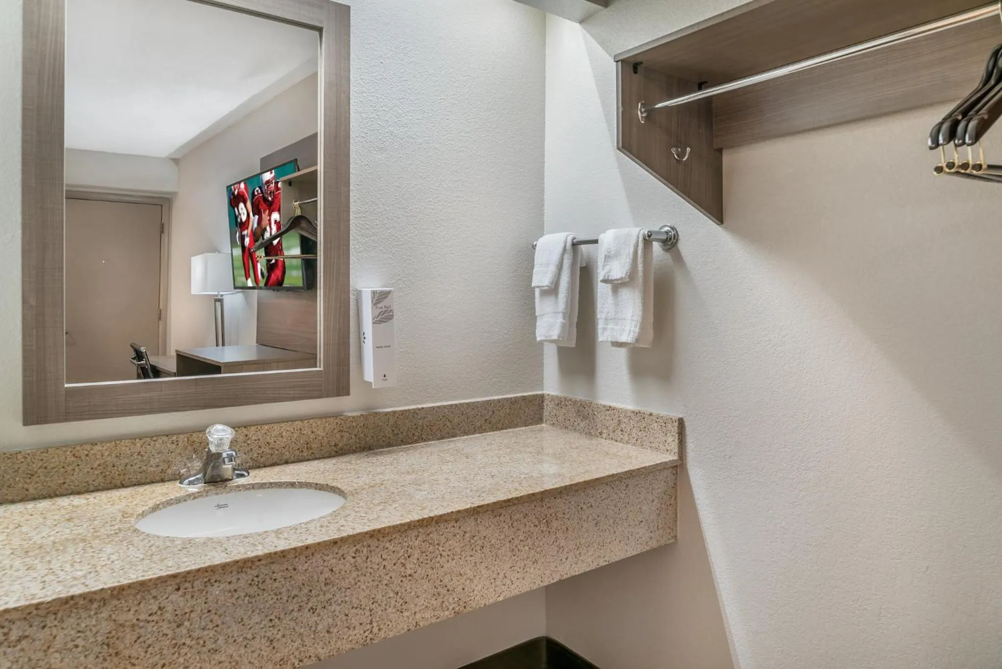 Bathroom in Red Roof Inn Detroit Metro Airport - Taylor