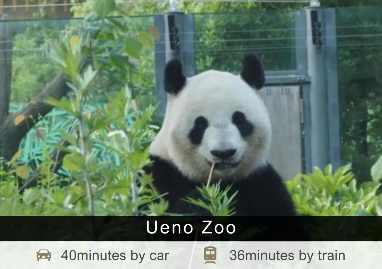 Nearby landmark in Tokyu Stay Aoyama Premier