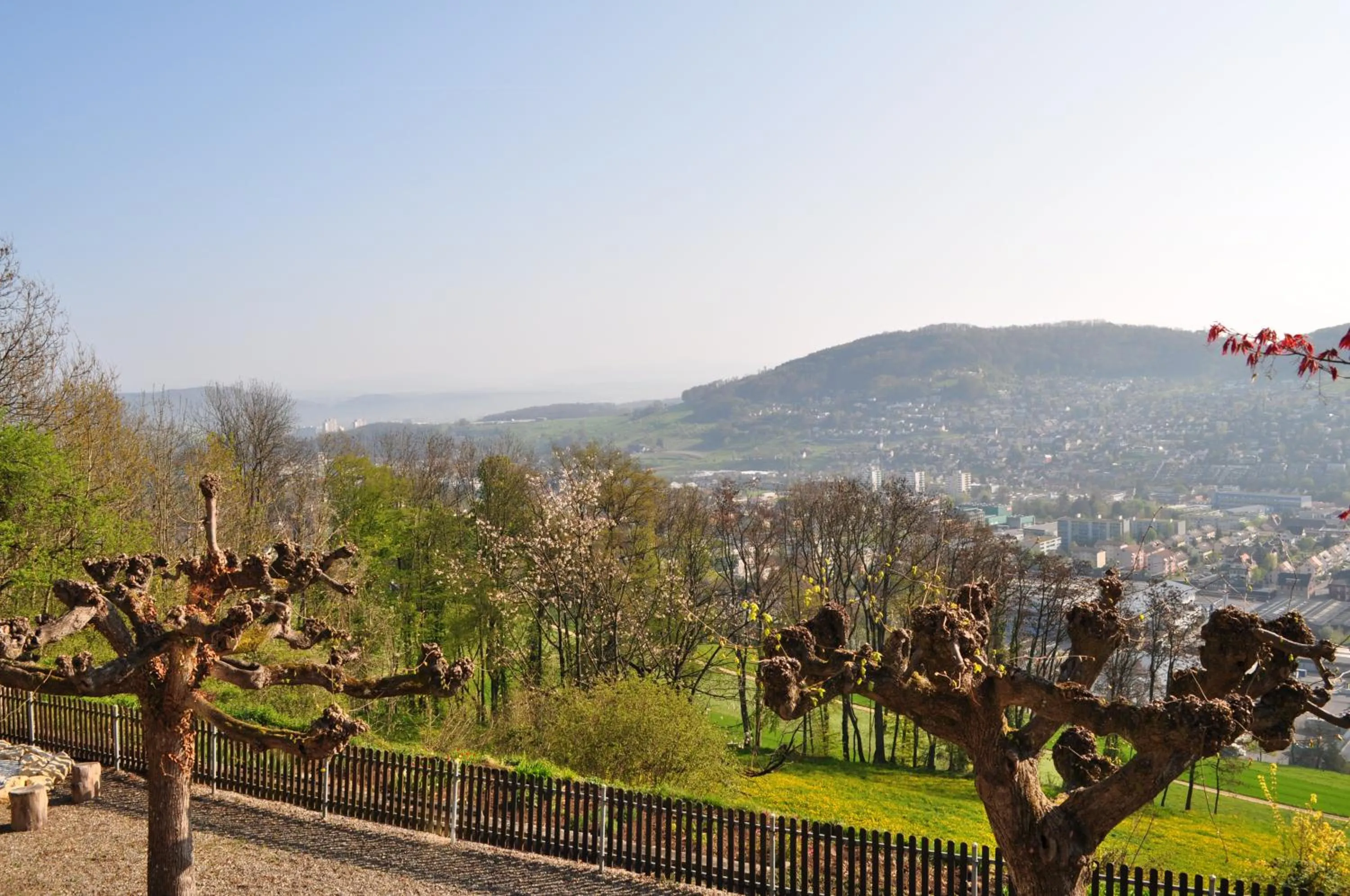 Balcony/Terrace in Bienenberg - Das Genusshotel im Grünen - Liestal