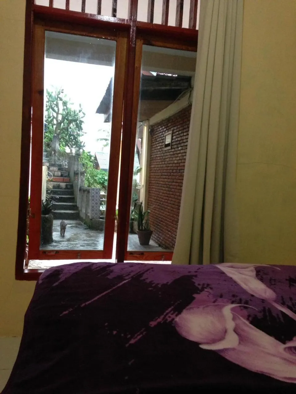 Bed in Aman's Guesthouse