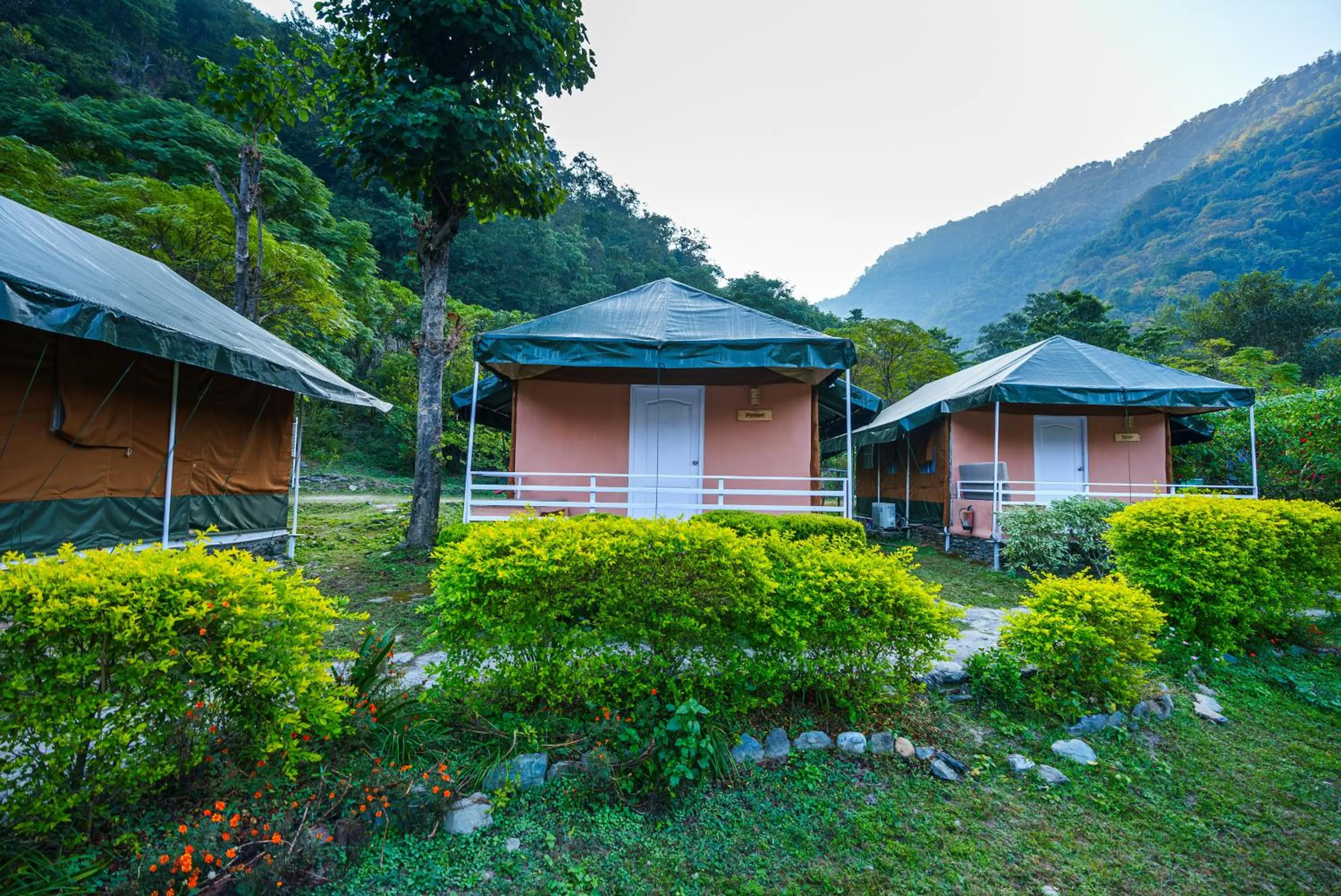 Natural landscape in Banyan By The Ganges